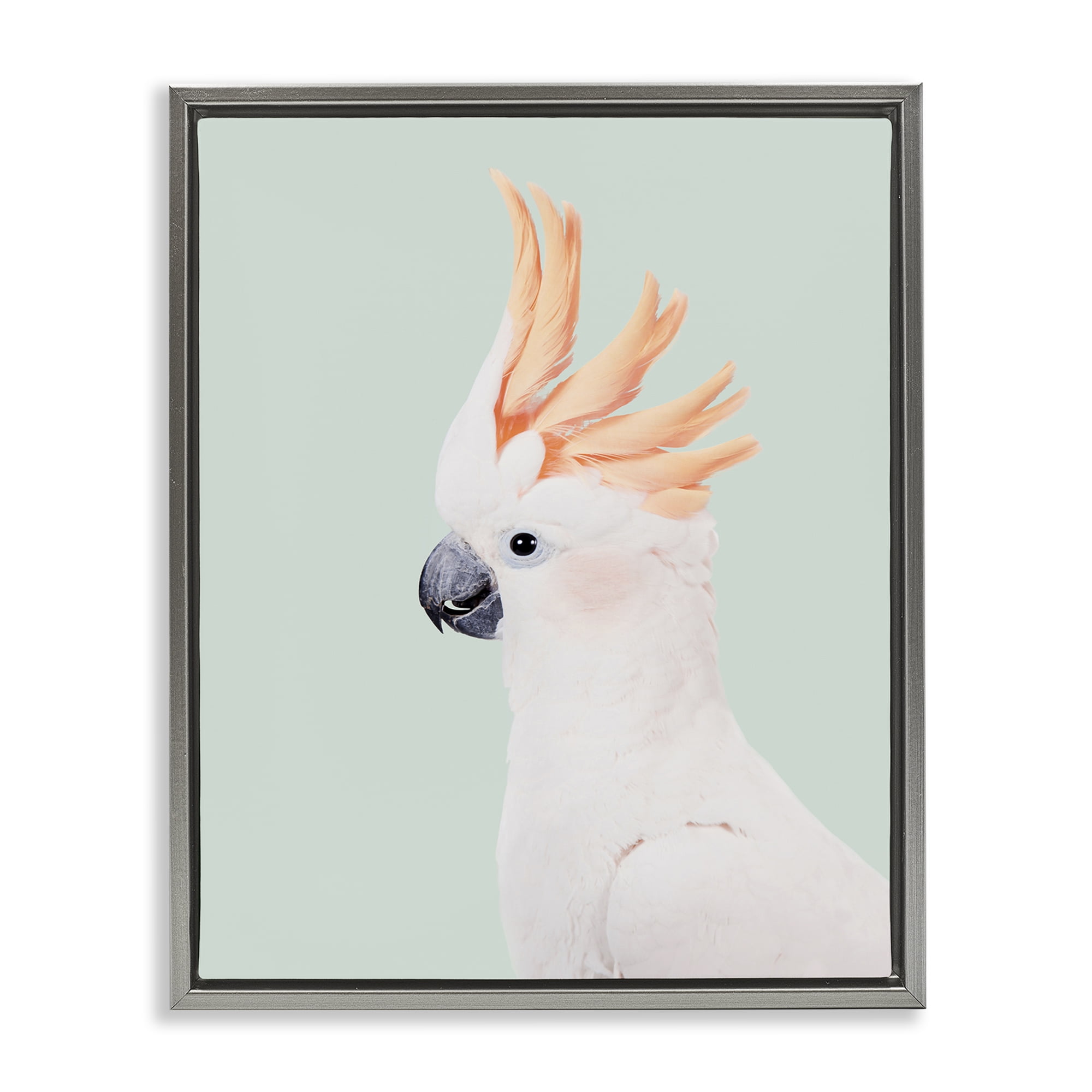 Stupell Industries White Cockatoo Portrait Animals Painting Gray Floater Framed Canvas Art Print Wall Art, 25 x 31