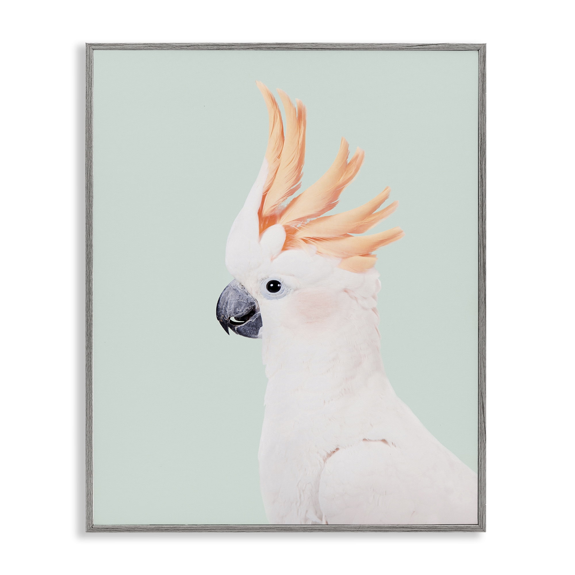 Stupell Industries White Cockatoo Portrait Animals Painting Gray Framed Art Print Wall Art, 11 x 14
