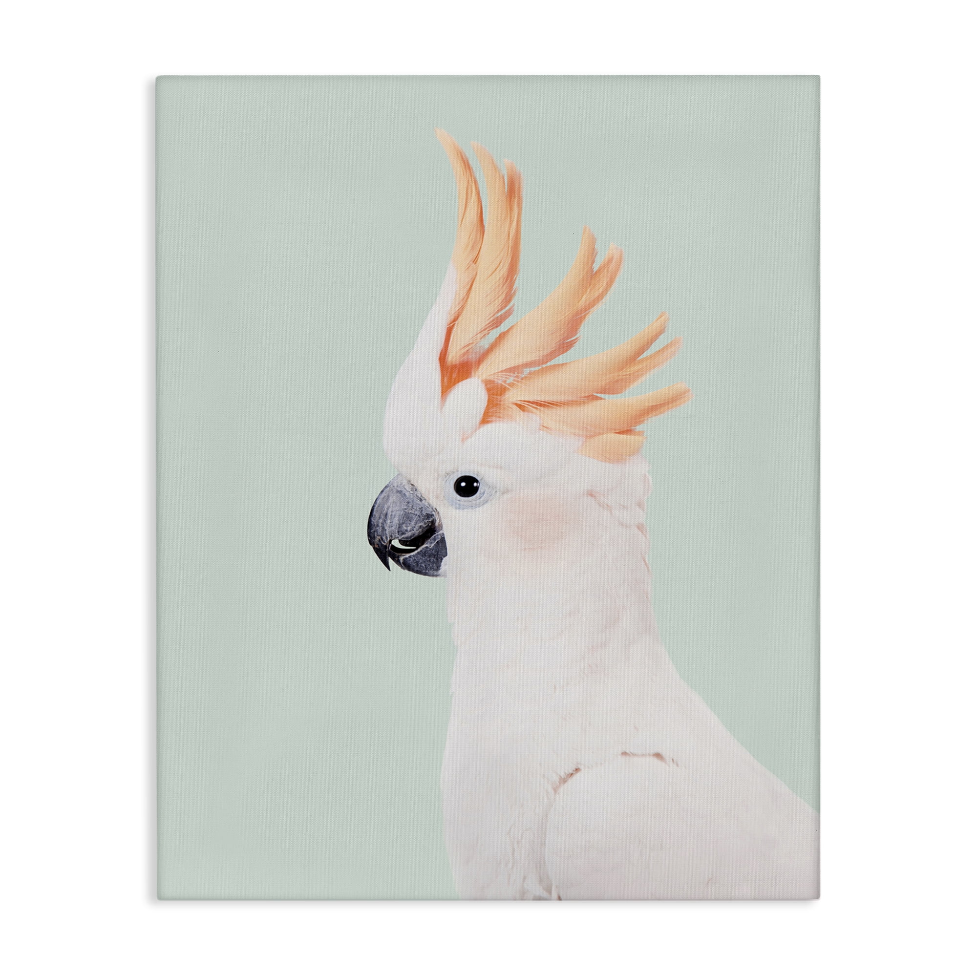 Stupell Industries White Cockatoo Portrait Animals Painting Wrapped Canvas Art Print Wall Art, 24 x 30