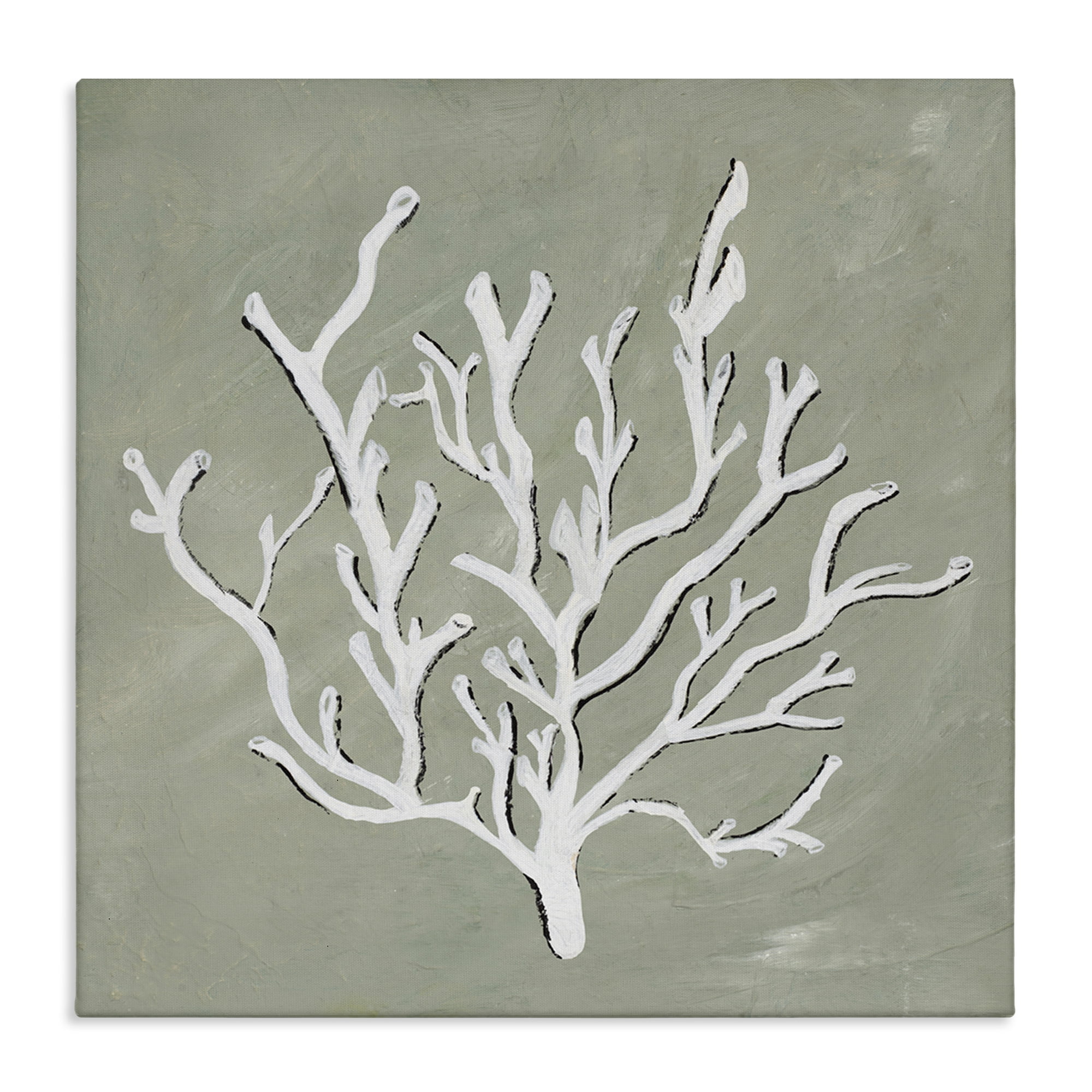 Stupell Industries White Coral Impression Coastal Painting Gallery Wrapped Canvas Art Print Wall Art, 24 x 24