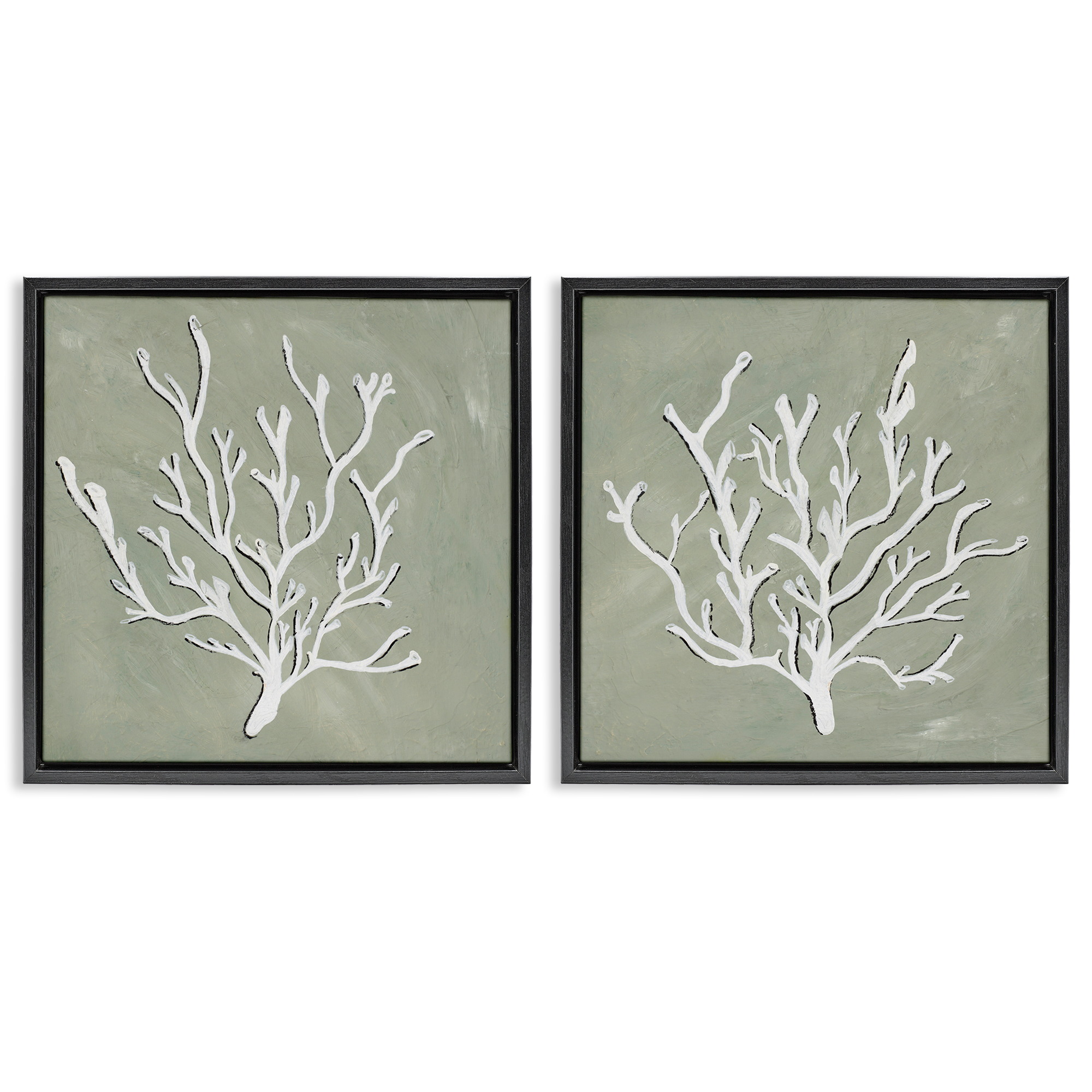 Stupell Industries White Coral Sketch Nautical & Beach Painting Black Floater Framed Canvas Art Print Wall Art, 18 x 18, Set of 2