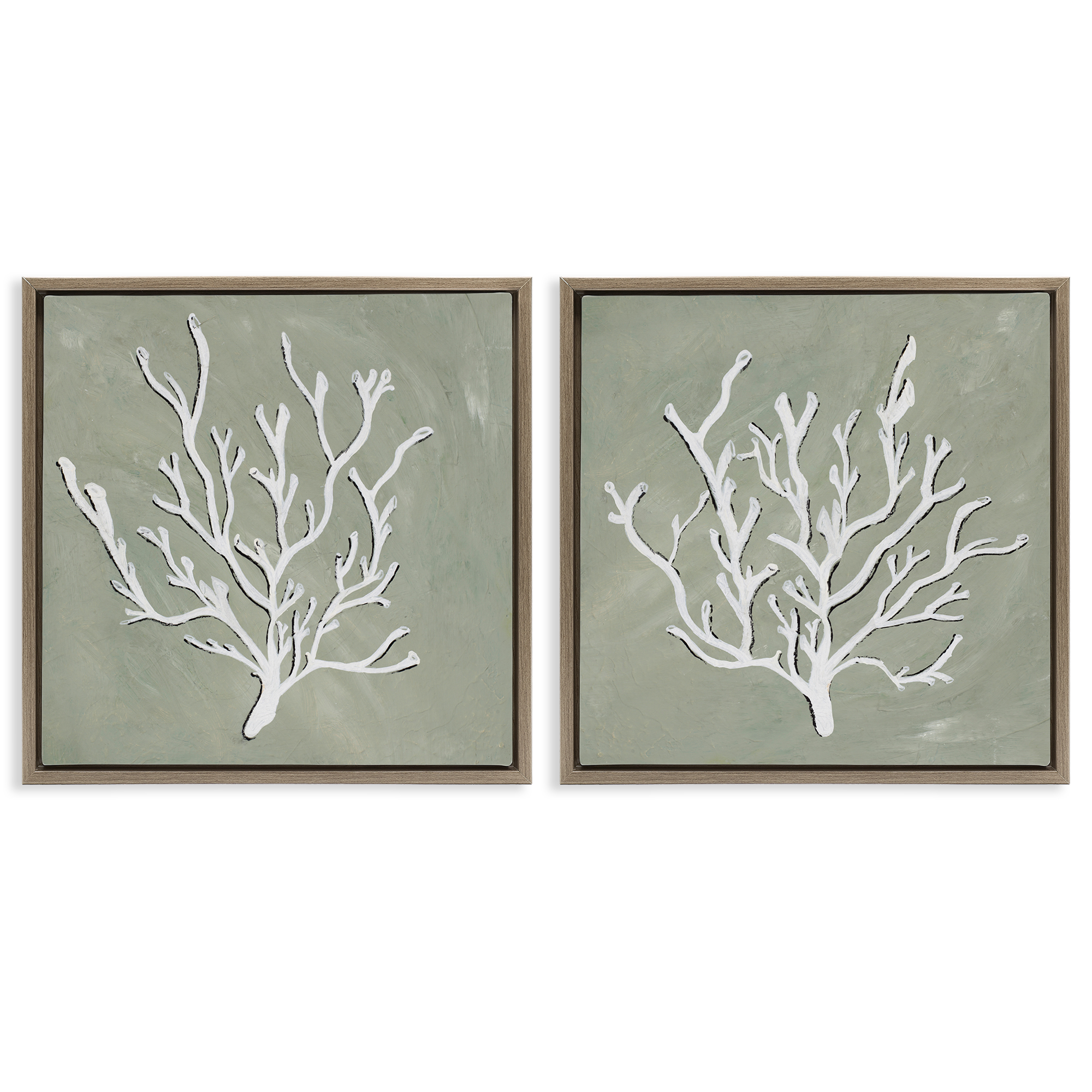 Stupell Industries White Coral Sketch Nautical & Beach Painting Brown Floater Framed Canvas Art Print Wall Art, 18 x 18, Set of 2