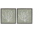 thumbnail image 1 of Stupell Industries Coastal White Coral Sketch Gray 2pc Floating Frame Art Set, 18 x 18 each, by Nola James, 1 of 8