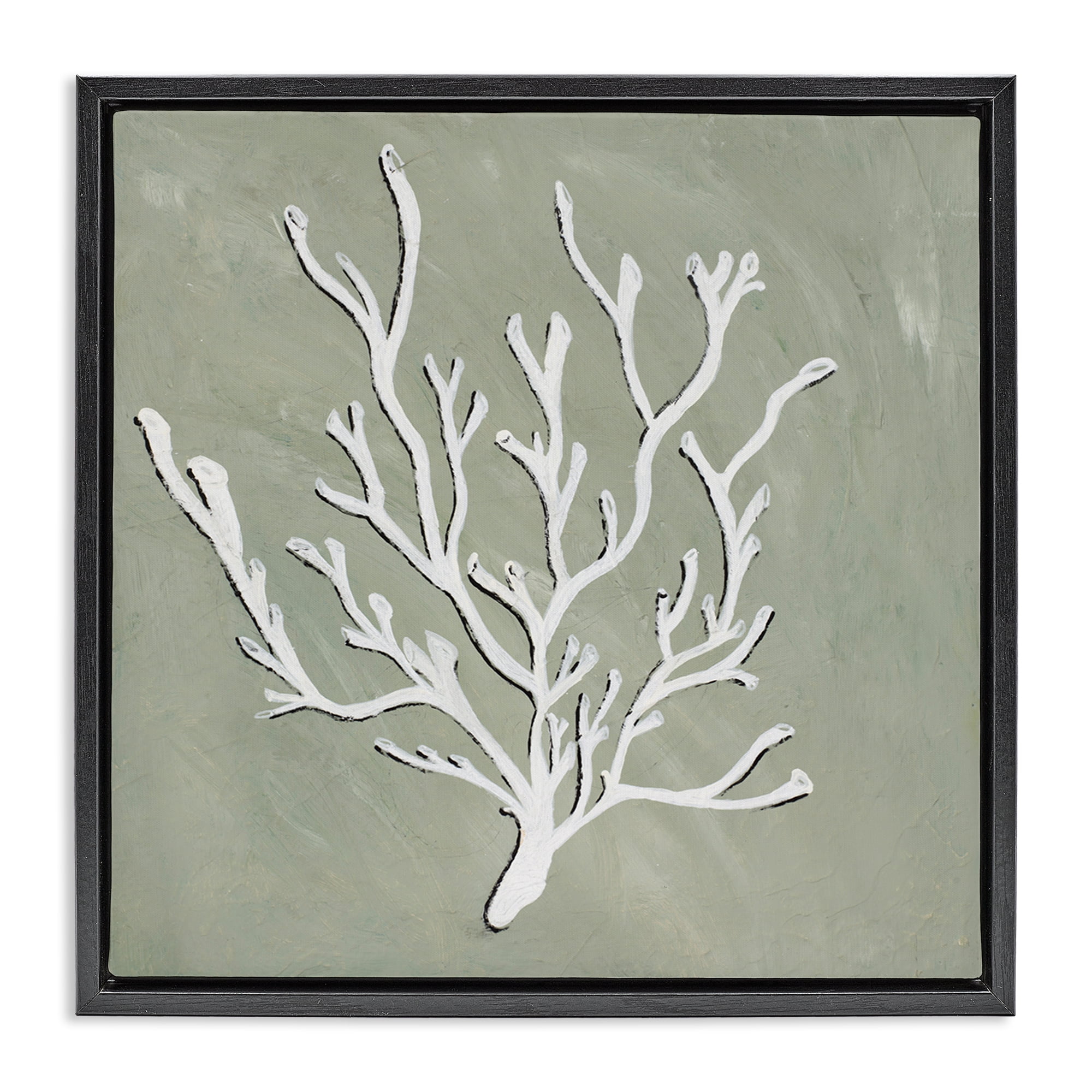 Stupell Industries White Coral Sprig Coastal Painting Black Floater Framed Canvas Art Print Wall Art, 18 x 18