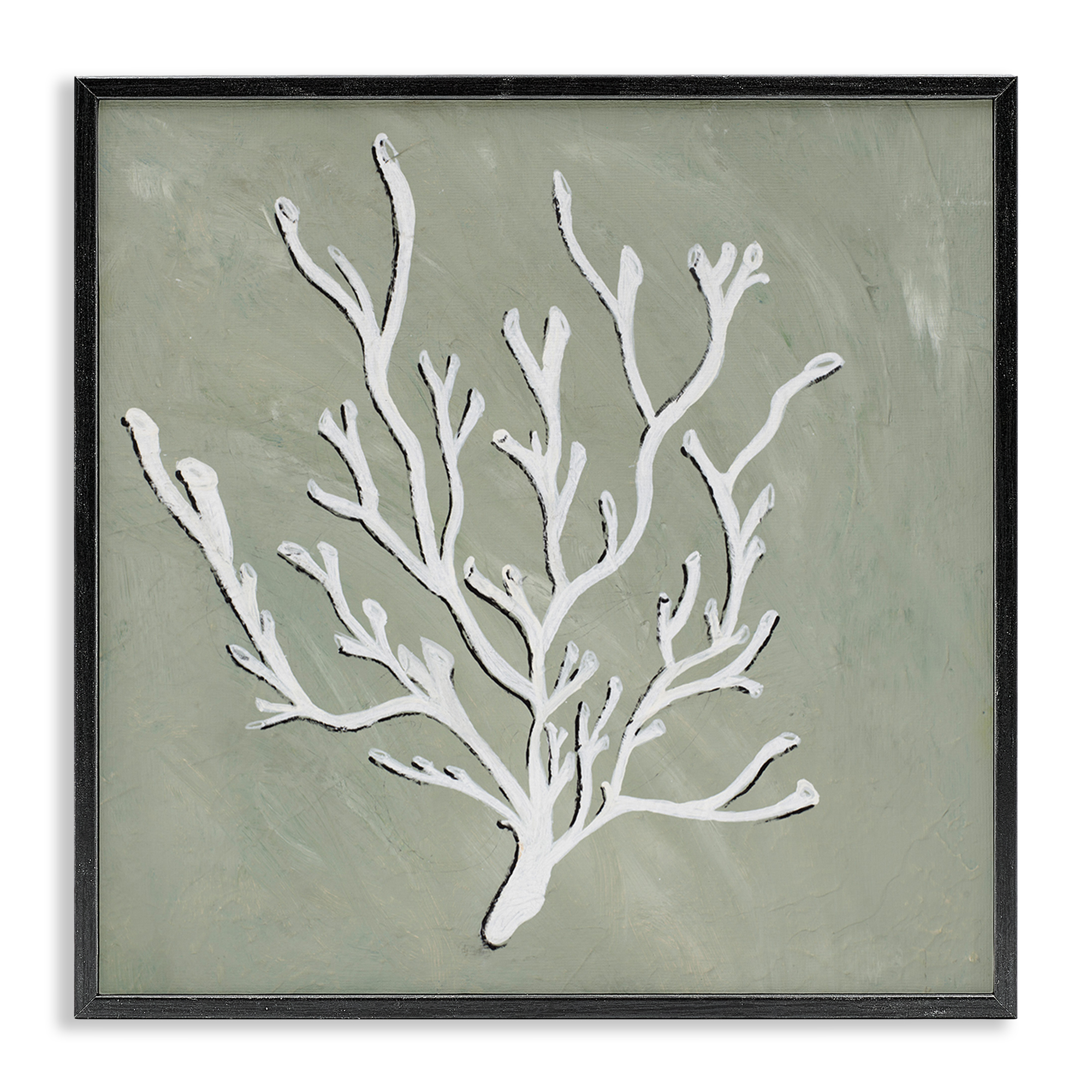 Stupell Industries White Coral Sprig Coastal Painting Black Framed Art Print Wall Art, 17 x 17