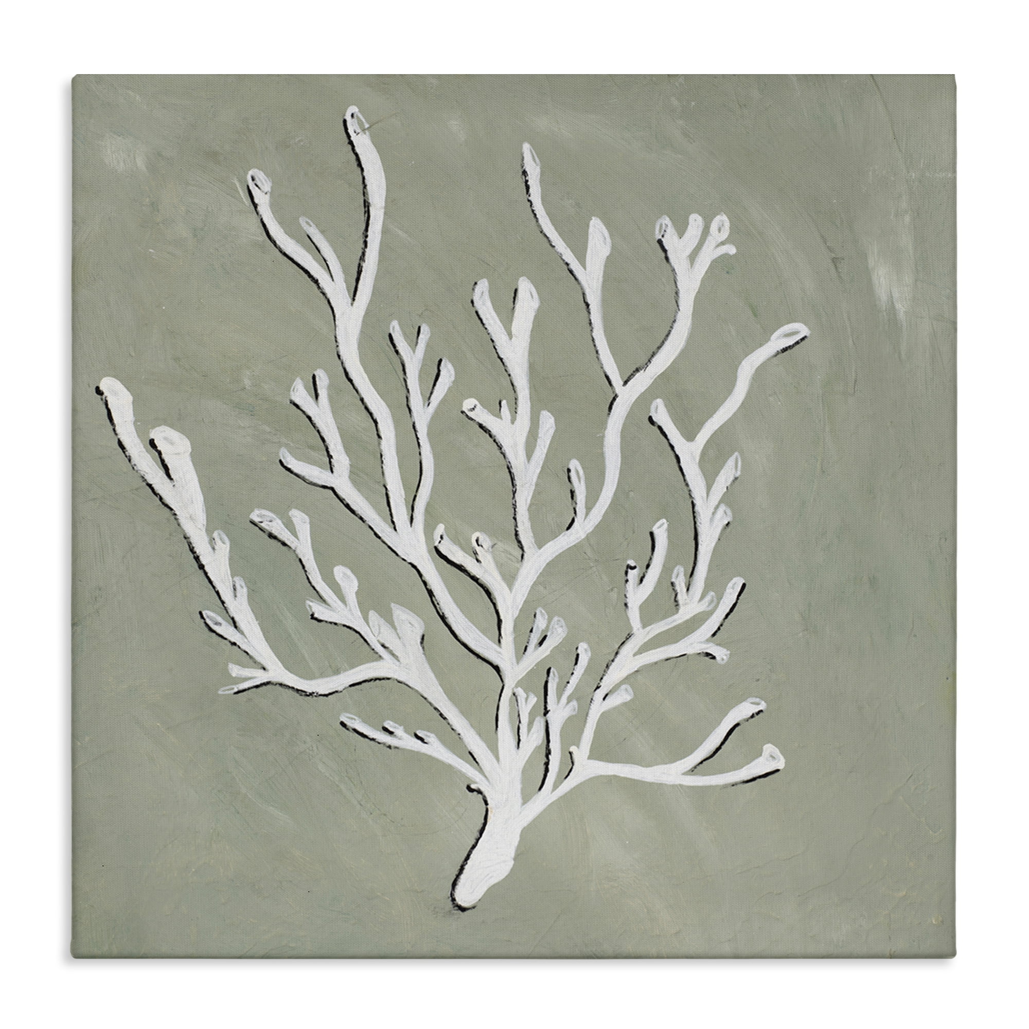 Stupell Industries White Coral Sprig Coastal Painting Gallery Wrapped Canvas Art Print Wall Art, 30 x 30