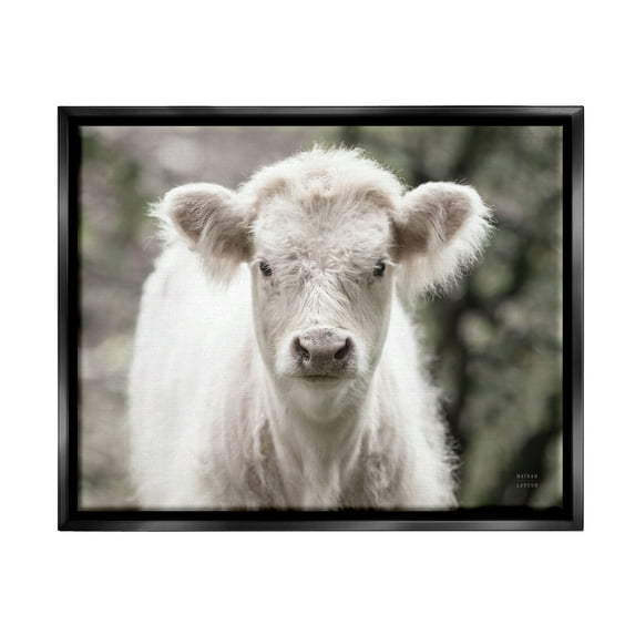 Stupell Industries White Cow Calf Portrait Animals & Insects Photography Black Floater Framed Art Print Wall Art, 31 x 25