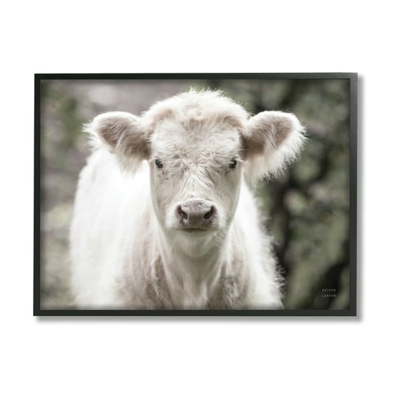 Stupell Industries White Cow Calf Portrait Animals & Insects Photography Black Framed Art Print Wall Art, 14 x 11