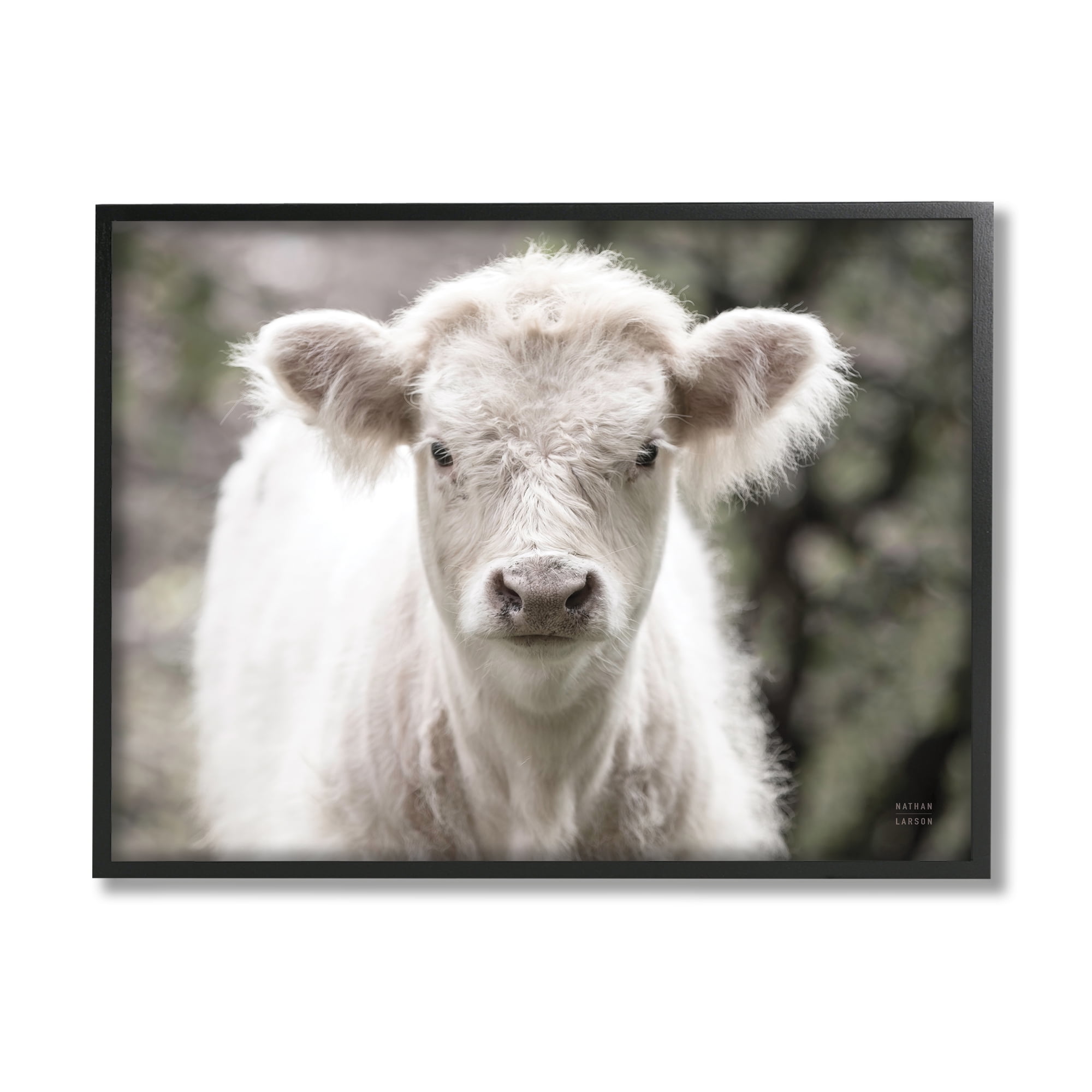 Stupell Industries White Cow Calf Portrait Animals & Insects Photography Black Framed Art Print Wall Art, 30 x 24