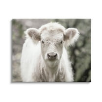 Stupell Industries White Cow Calf Portrait Animals & Insects Photography Gallery Wrapped Canvas Print Wall Art, 20 x 16