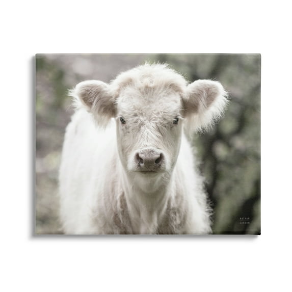 Stupell Industries White Cow Calf Portrait Animals & Insects Photography Gallery Wrapped Canvas Print Wall Art, 40 x 30