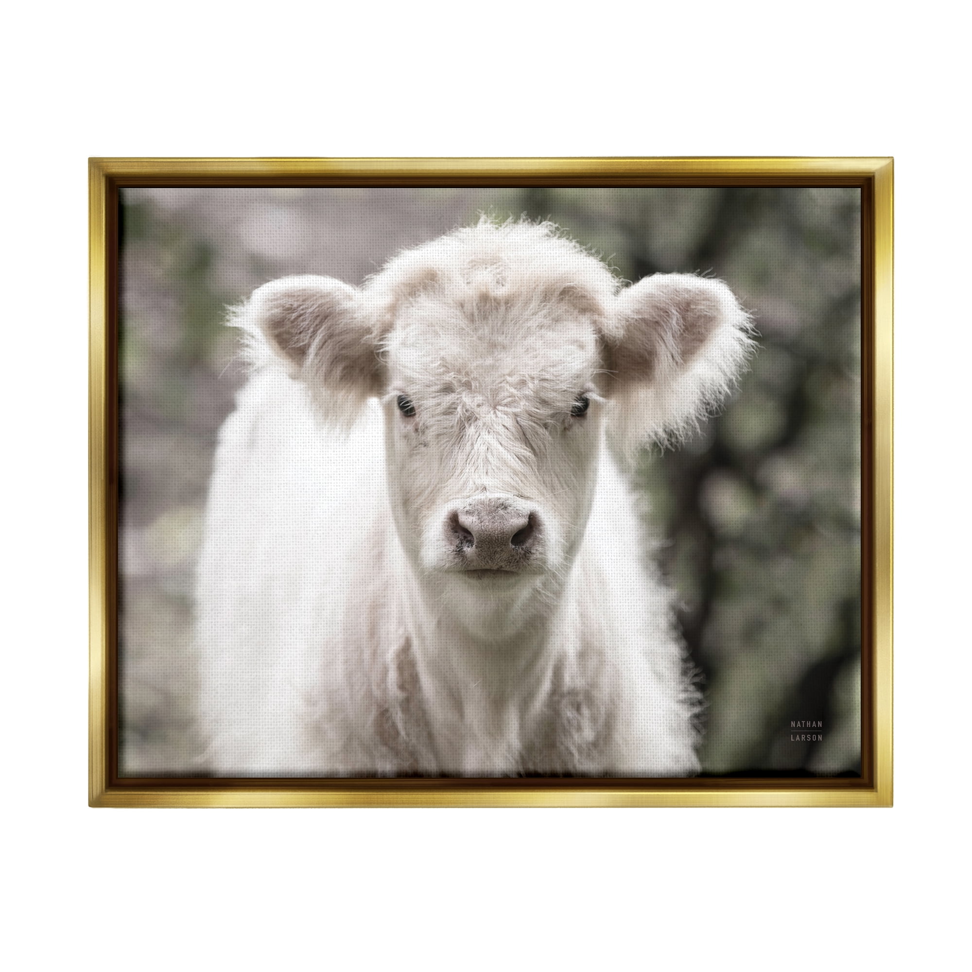 Stupell Industries White Cow Calf Portrait Animals & Insects Photography Gold Floater Framed Art Print Wall Art, 21 x 17
