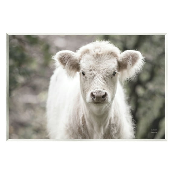 Stupell Industries White Cow Calf Portrait Animals & Insects Photography Unframed Art Print Wall Art, 15 x 10