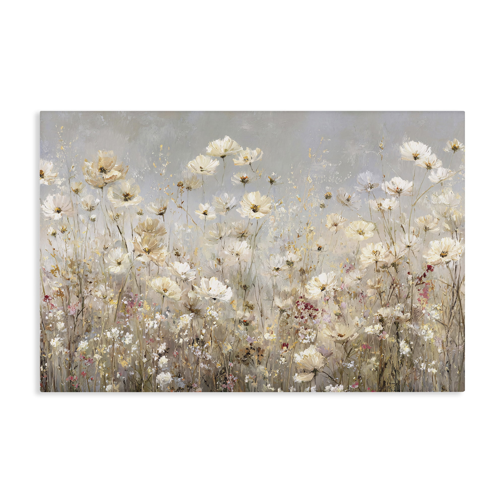 Stupell Industries White Daisy Clusters Meadow Canvas Wall Art, design by Jacky Ngan