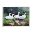 thumbnail image 1 of Stupell Industries White Ducks Landscape Animals & Insects Painting White Framed Art Print Wall Art, 14 x 11, 1 of 9
