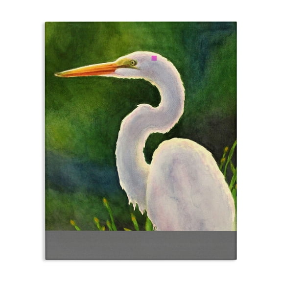 Stupell Industries White Egret Portrait Painting Canvas Wall Art design by Linda Sperruzzi, 20 x 16