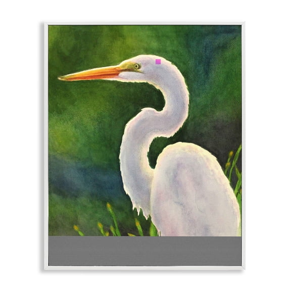 Stupell Industries White Egret Portrait Painting White Framed Giclee Art design by Linda Sperruzzi, 20 x 16