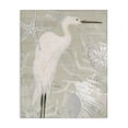 thumbnail image 1 of Stupell Industries Coastal White Egret Seashells Starfish Rustic Grain Pattern Canvas Art, 16 x 20, by June Erica Vess, 1 of 7