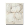 thumbnail image 1 of Stupell Industries White Flower Blossom Botanical & Floral Painting Gallery Wrapped Canvas Art Print Wall Art, 24 x 30, 1 of 8