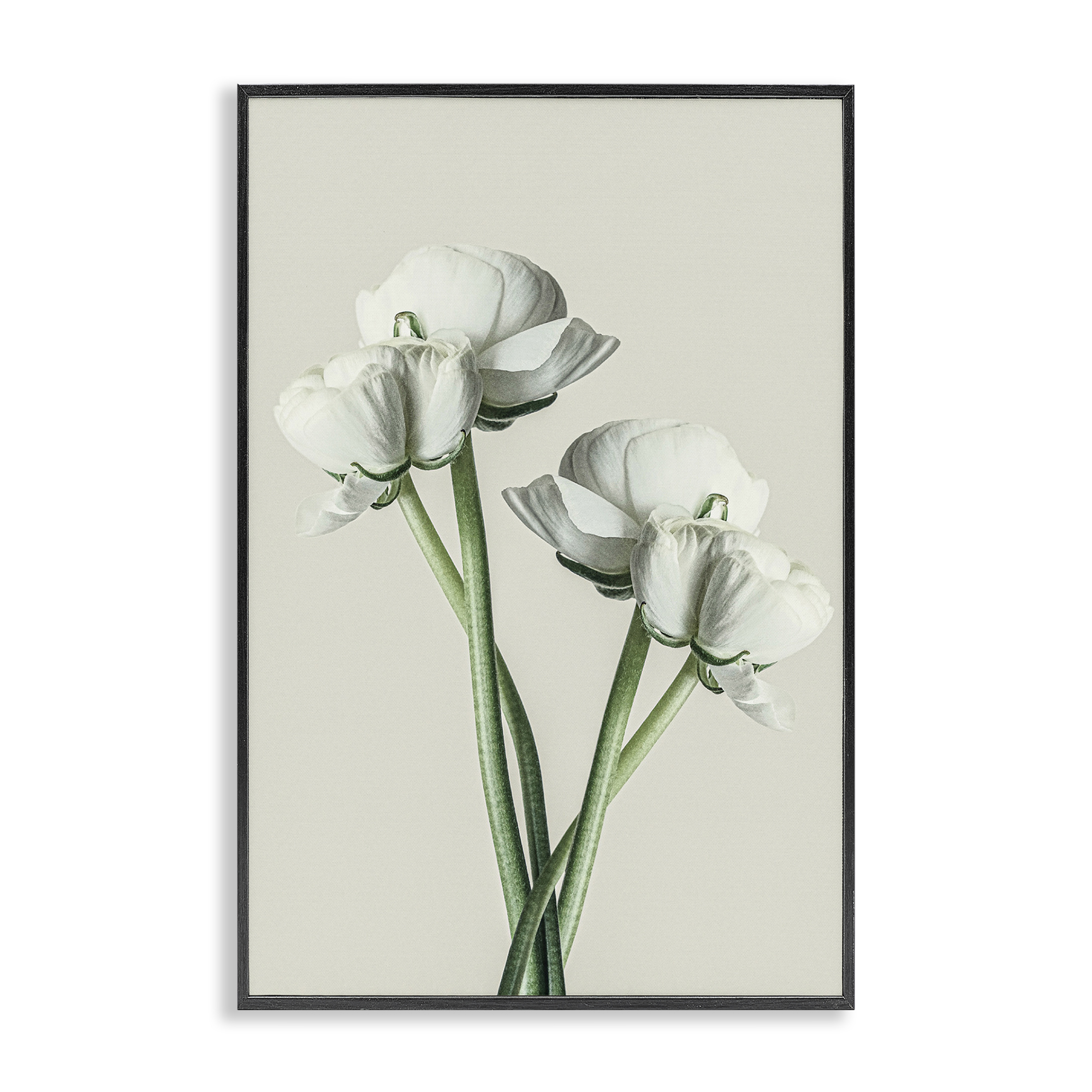 Stupell Industries White Flower Bundle Botanical & Floral Photography Black Framed Art Print Wall Art, 16 x 24