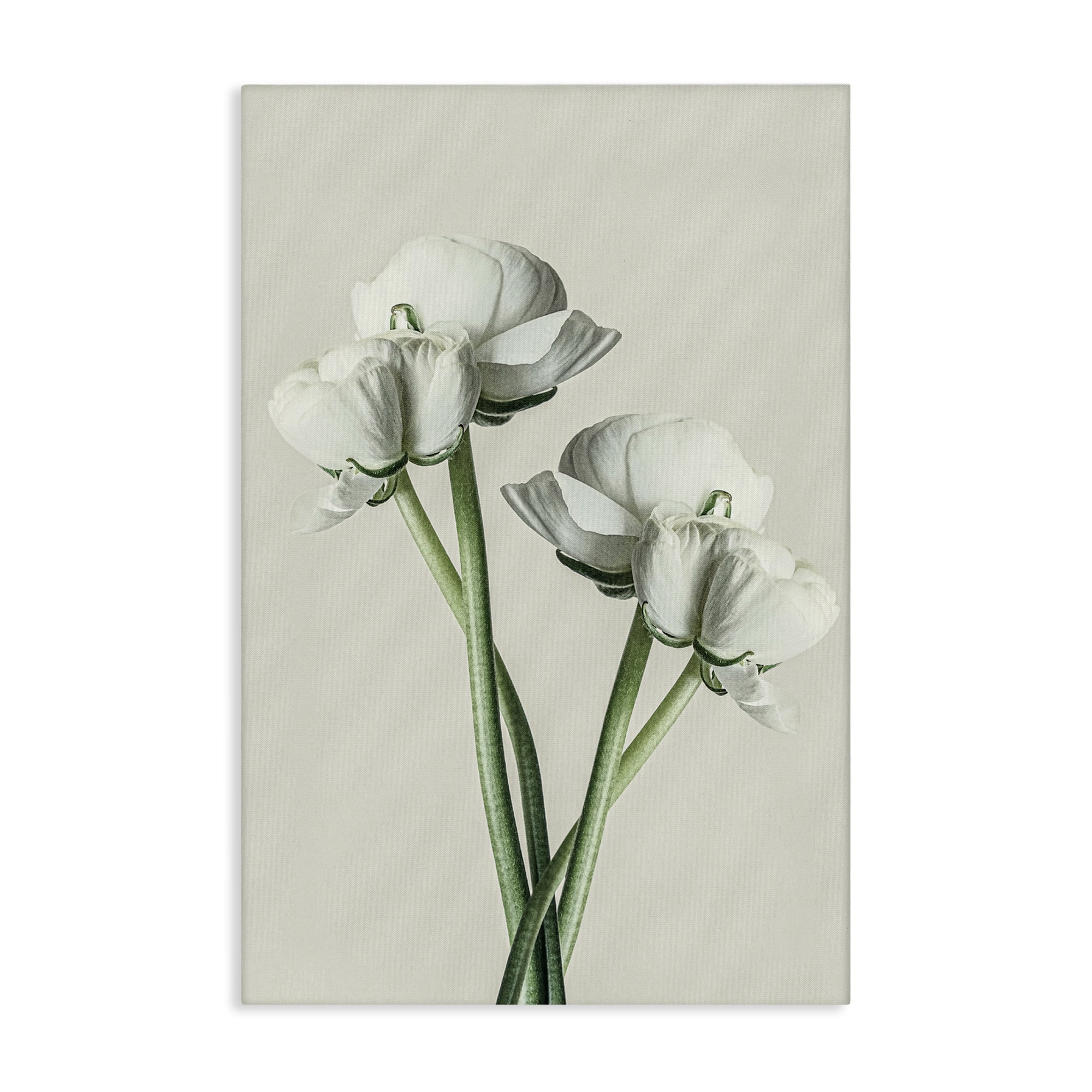 Stupell Industries White Flower Bundle Botanical & Floral Photography Gallery Wrapped Canvas Art Print Wall Art, 20 x 30