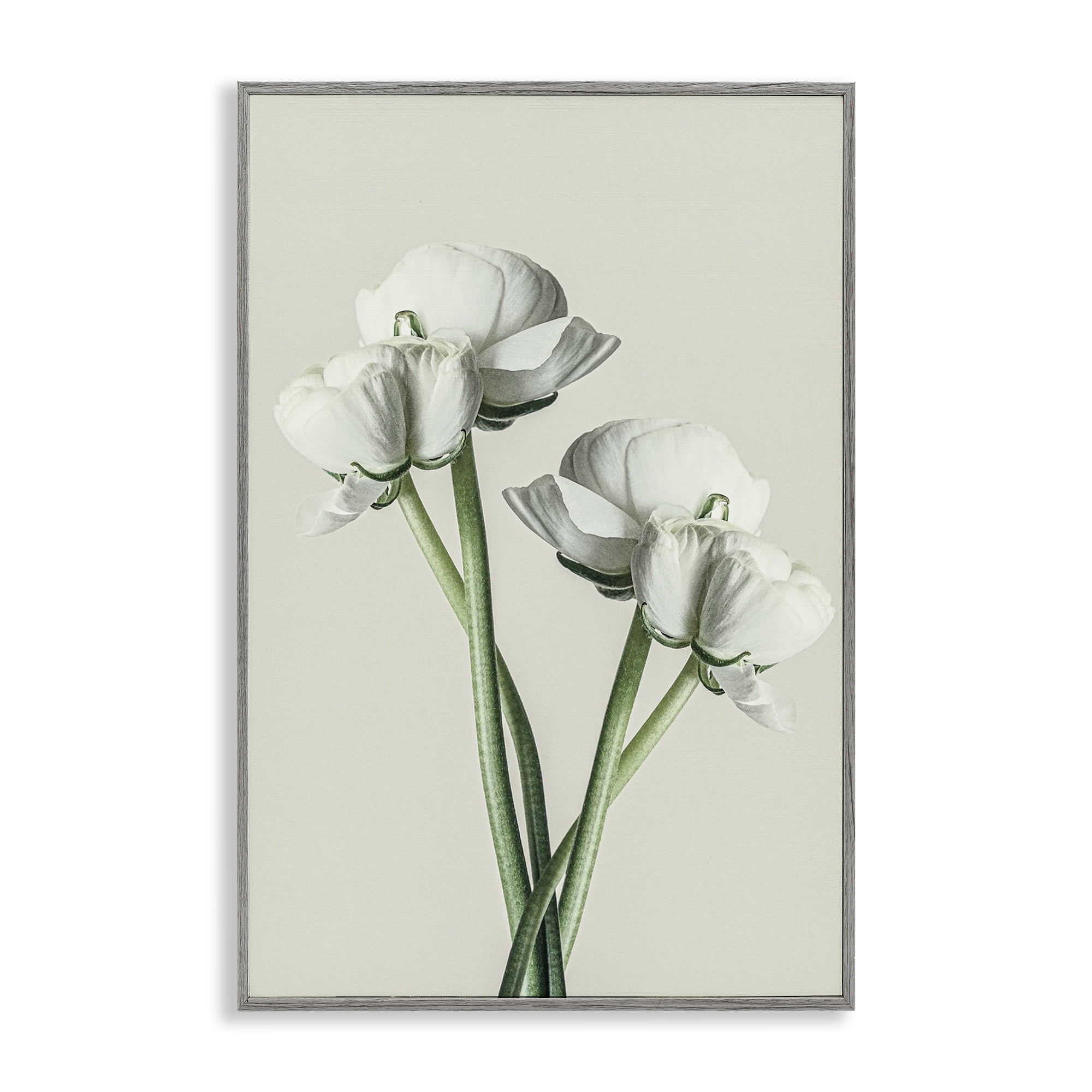 Stupell Industries White Flower Bundle Botanical & Floral Photography Gray Framed Art Print Wall Art, 20 x 30