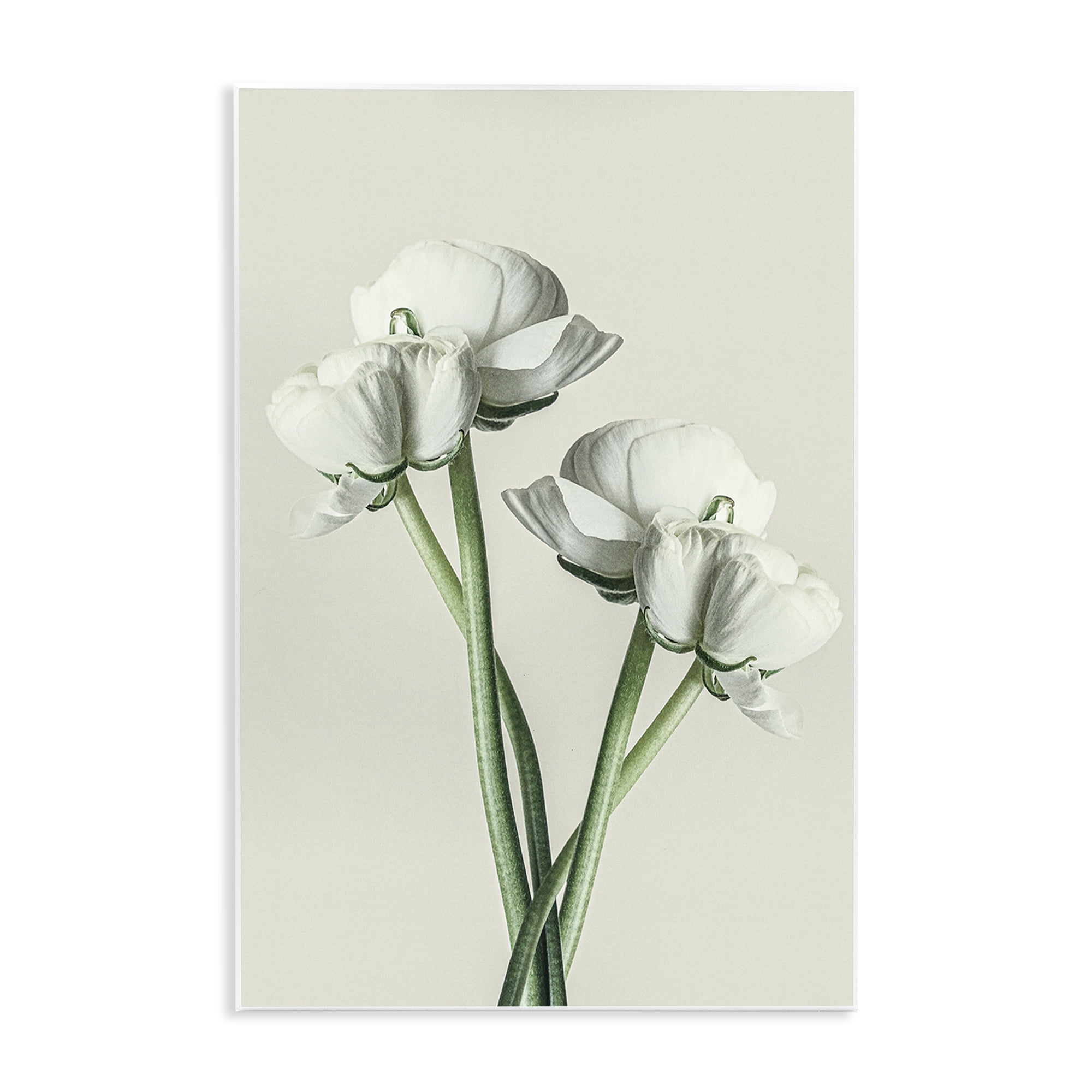 Stupell Industries White Flower Bundle Botanical & Floral Photography Unframed Art Print Wall Art, 10 x 15