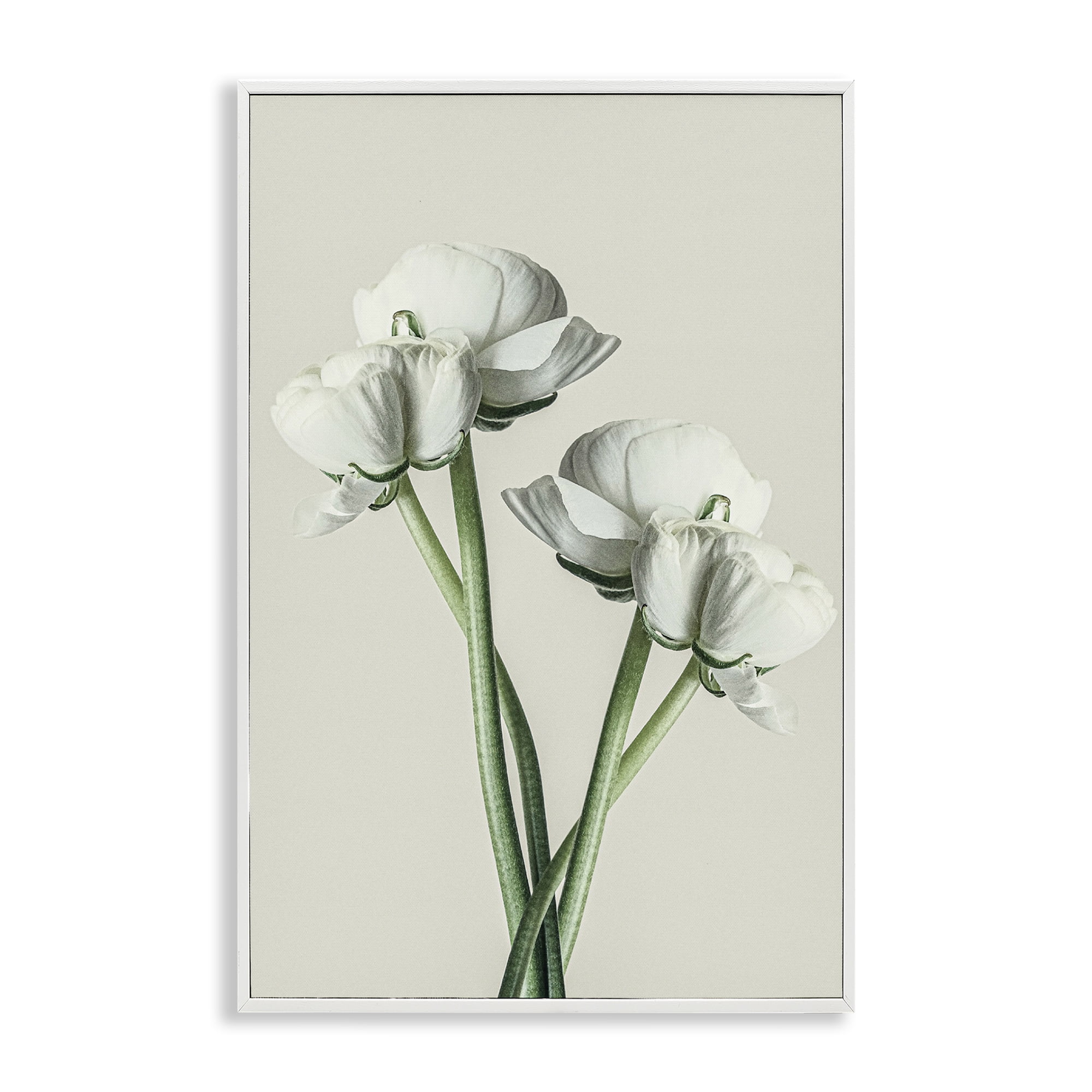 Stupell Industries White Flower Bundle Botanical & Floral Photography White Framed Art Print Wall Art, 12 x 18
