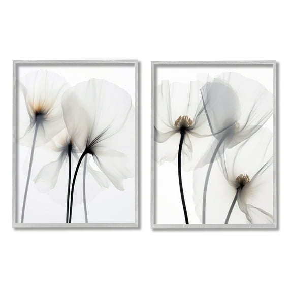 Stupell Industries White Flower Photography Botanical & Floral Photography Gray Framed Art Print Wall Art, 16 x 20