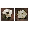 thumbnail image 1 of Stupell Industries White Flowers on Brown 2 Piece Canvas Wall Art Set design by Jennifer Stith, 24 x 24, 1 of 7