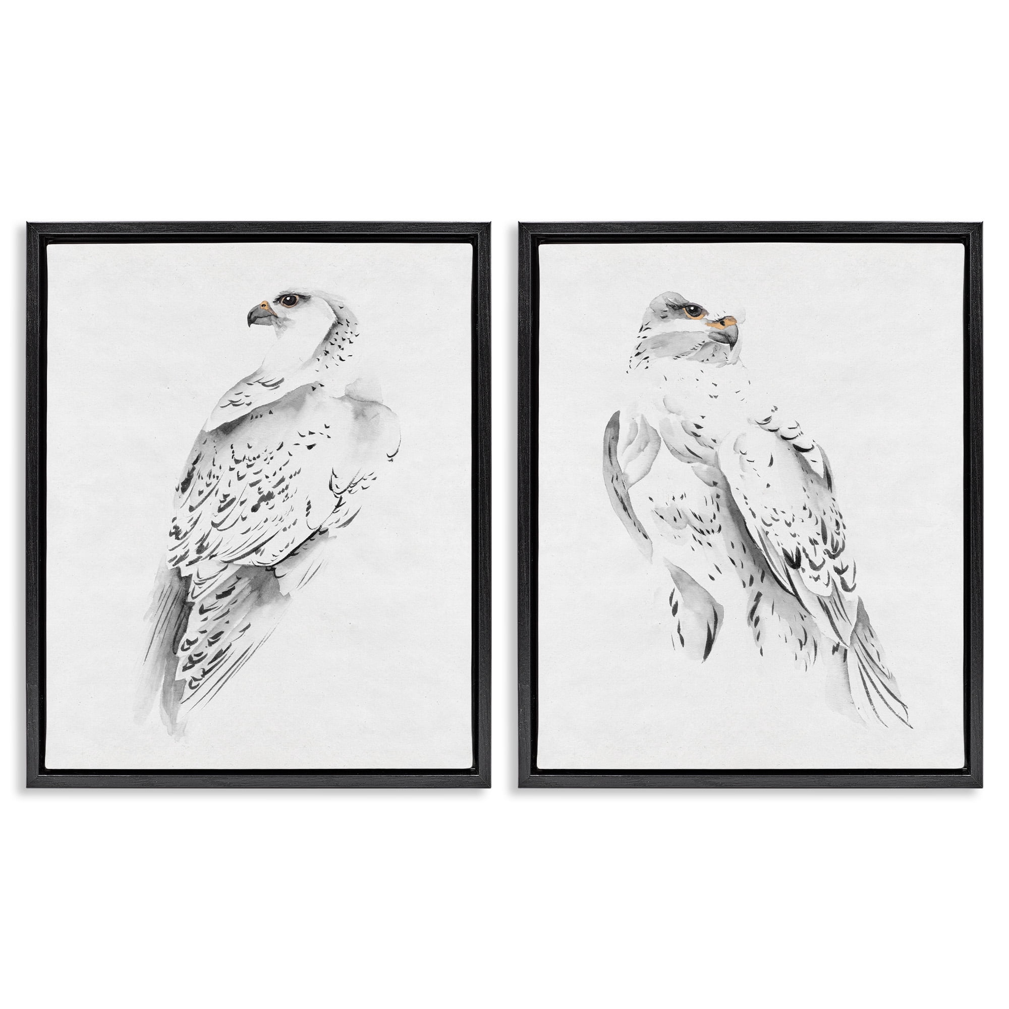Stupell Industries White Hawk Winter Birds Animals & Insects Painting Black Floater Framed Canvas Art Print Wall Art, 25 x 31, Set of 2
