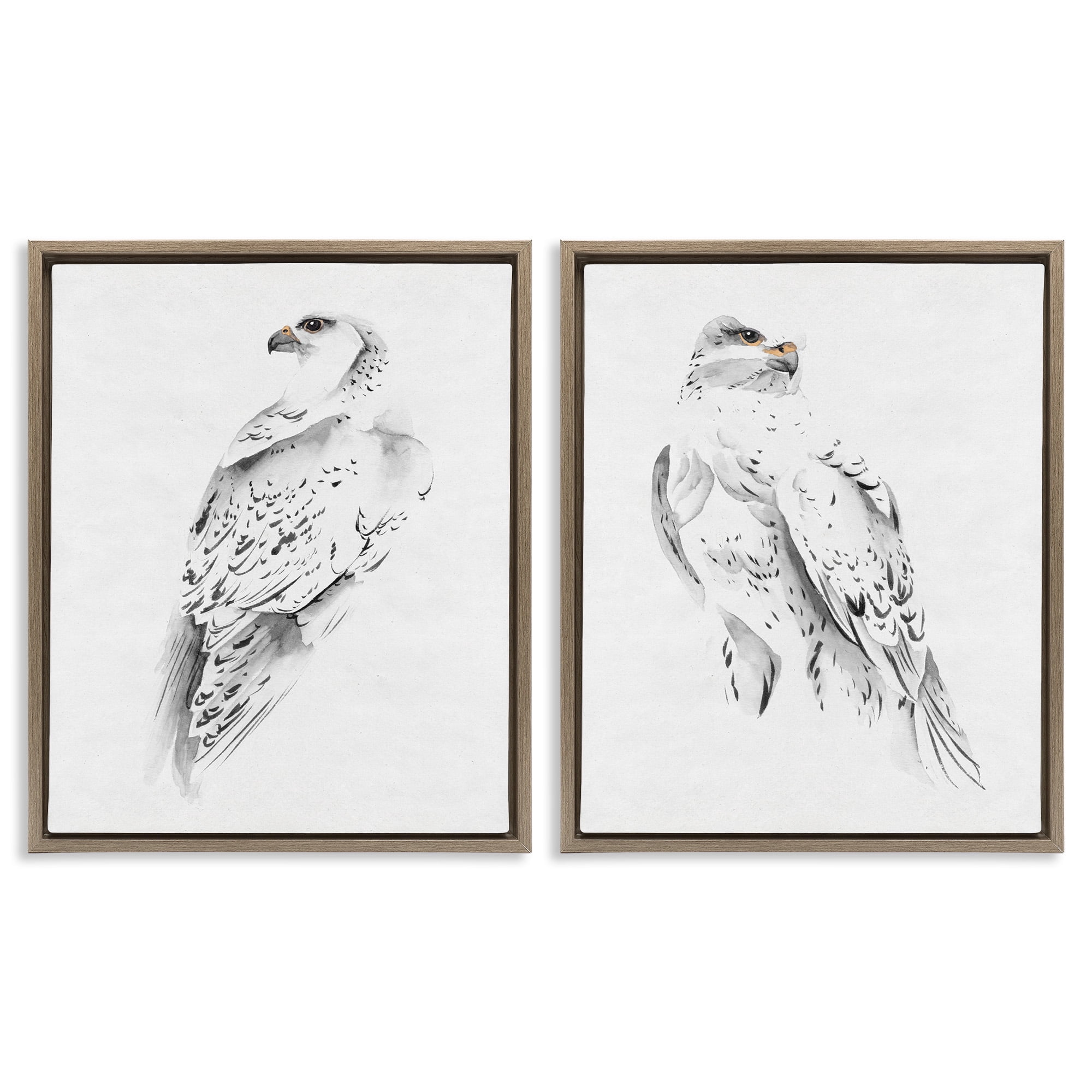 Stupell Industries White Hawk Winter Birds Animals & Insects Painting Brown Floater Framed Canvas Art Print Wall Art, 25 x 31, Set of 2