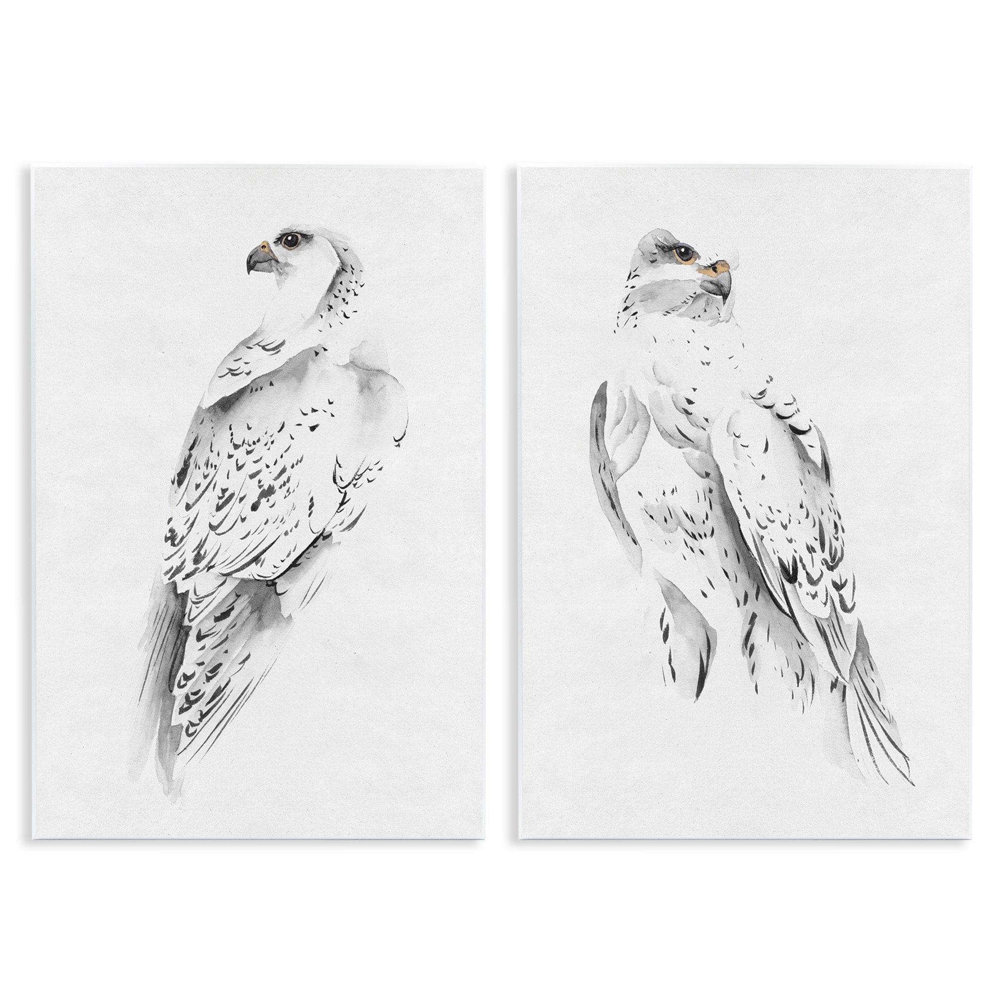 Stupell Industries White Hawk Winter Birds Soft Speckled Feathers, 10 x 15,Design by Melissa Wang