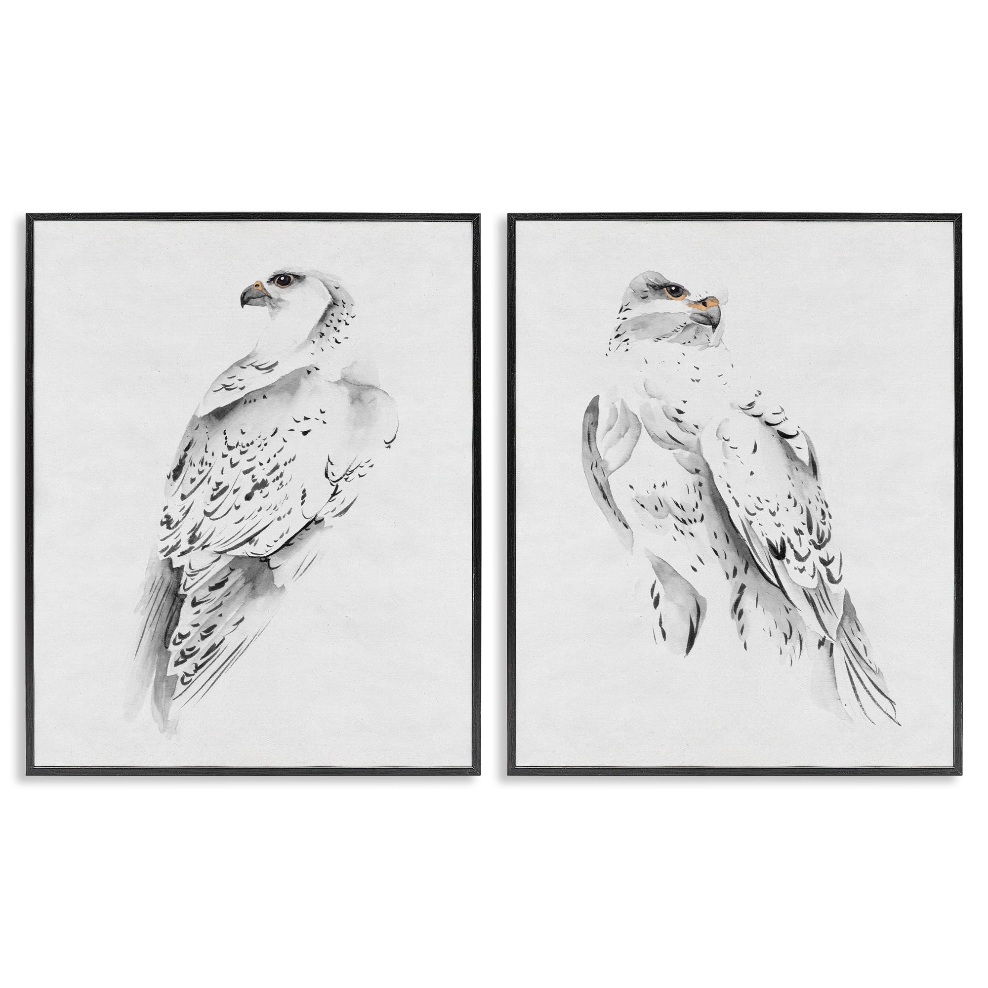 Stupell Industries White Hawk Winter Birds Soft Speckled Feathers, 16 x 20,Design by Melissa Wang