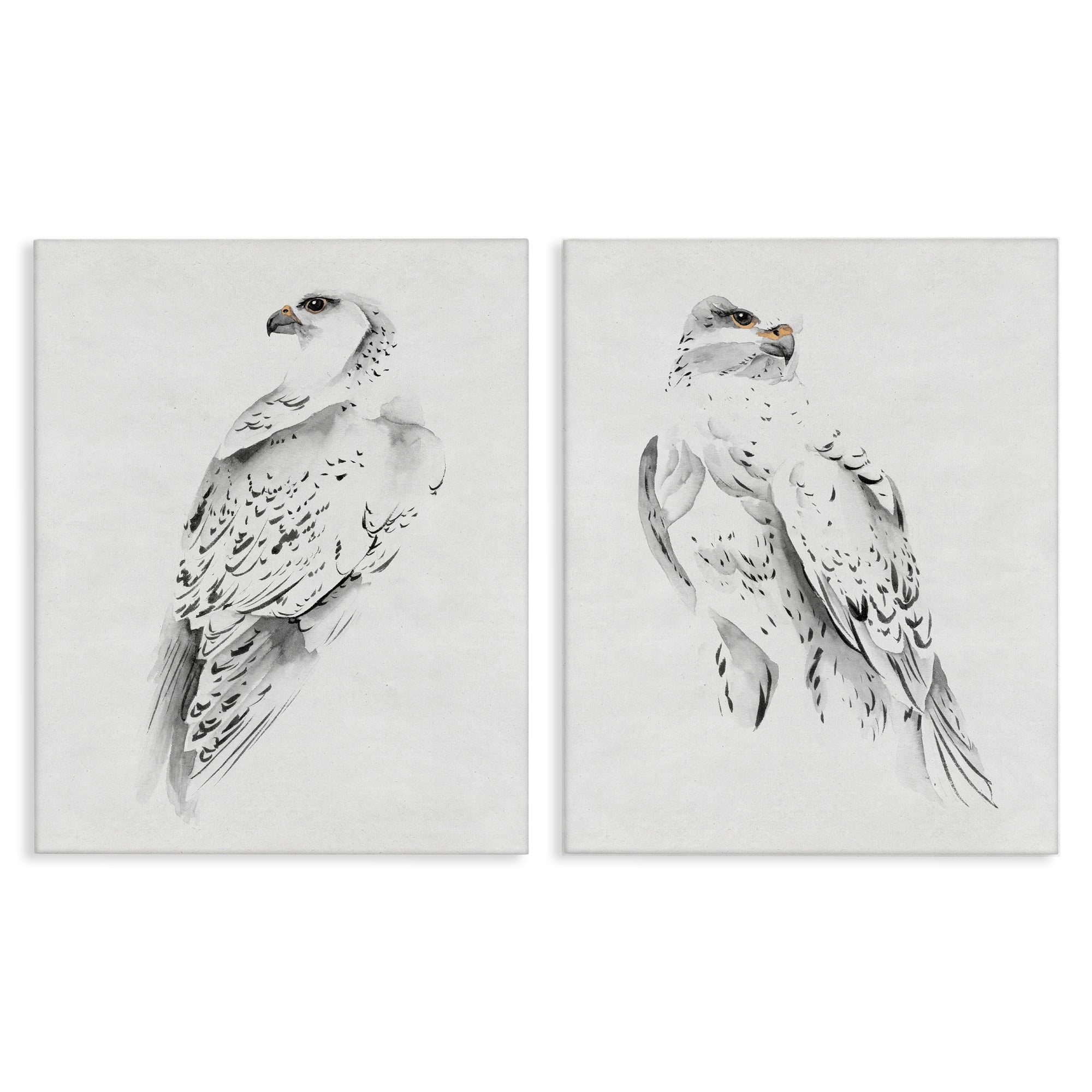 Stupell Industries White Hawk Winter Birds Soft Speckled Feathers, 16 x 20,Design by Melissa Wang