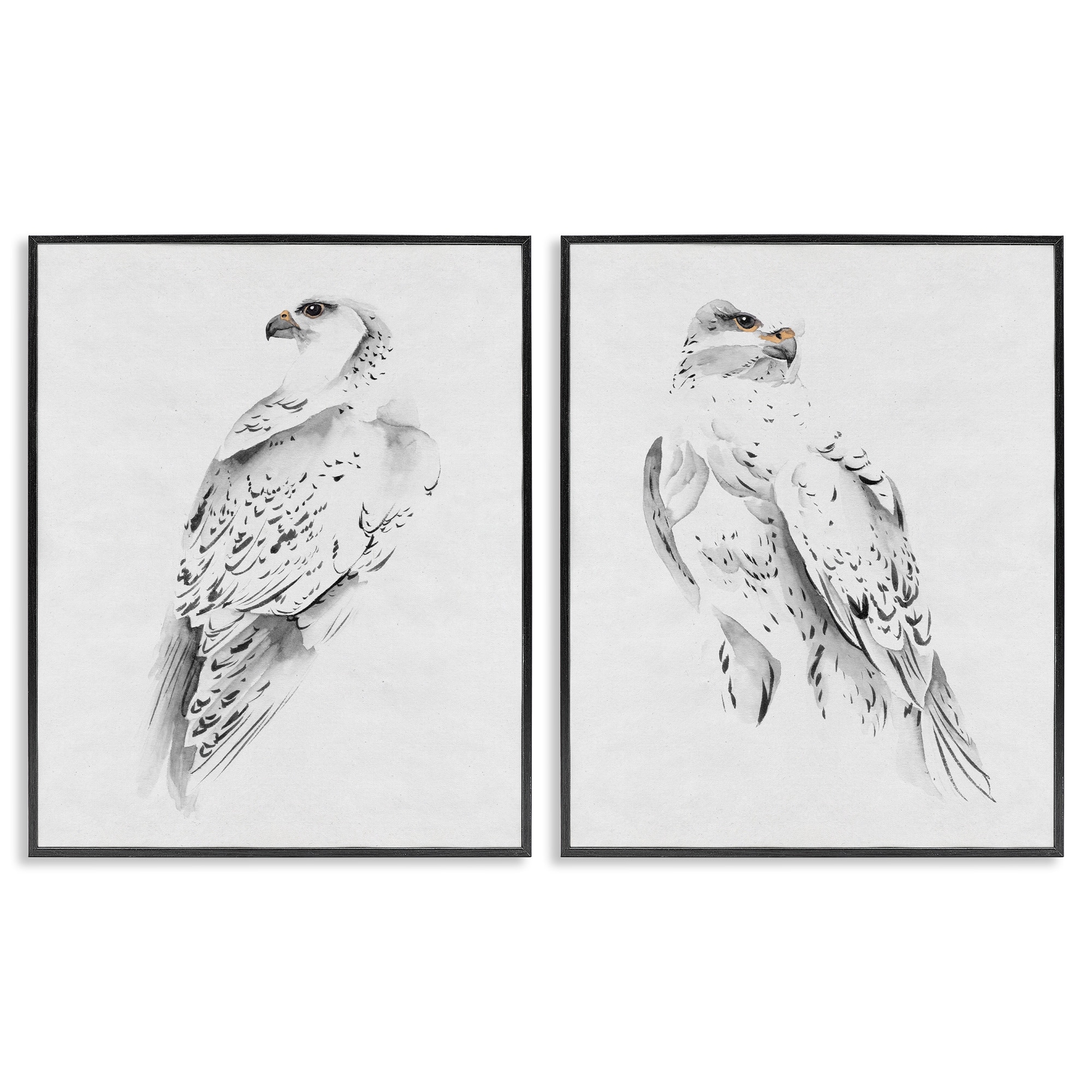 Stupell Industries White Hawk Winter Birds Soft Speckled Feathers, 24 x 30,Design by Melissa Wang