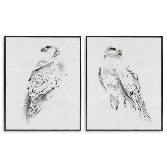 Stupell Industries White Hawk Winter Birds Soft Speckled Feathers, 24 x 30,Design by Melissa Wang
