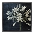 thumbnail image 1 of Stupell Industries Transitional White Herb Blooms Black Floating Frame Canvas Art, 18 x 18, by Patricia Pinto, 1 of 8