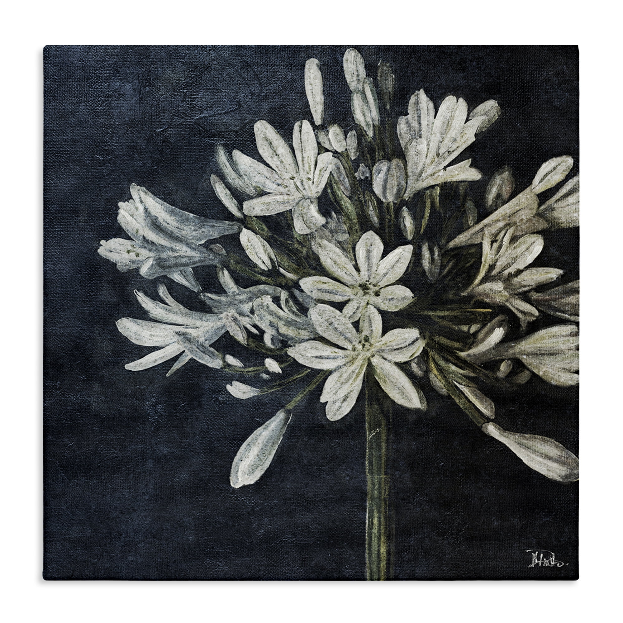 Stupell Industries White Herb Blooms Botanical & Floral Painting Gallery Wrapped Canvas Art Print Wall Art, 24 x 24
