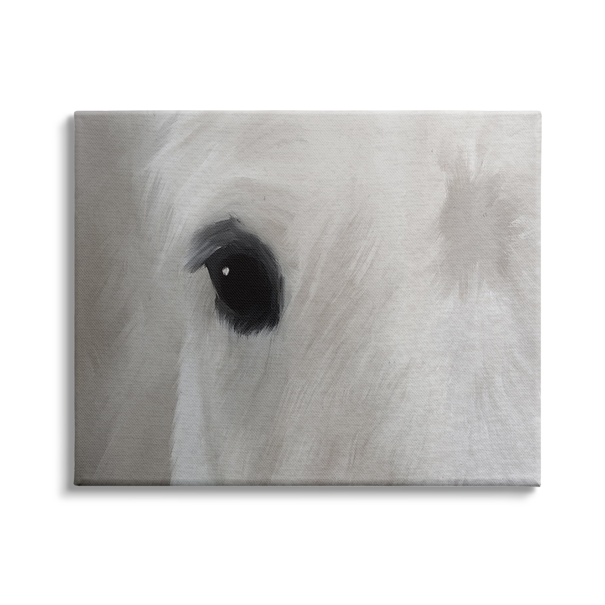 Stupell Industries White Horse Bold Eye Wild Stallion Close Up, 48 x 36, Design by Leah Straatsma