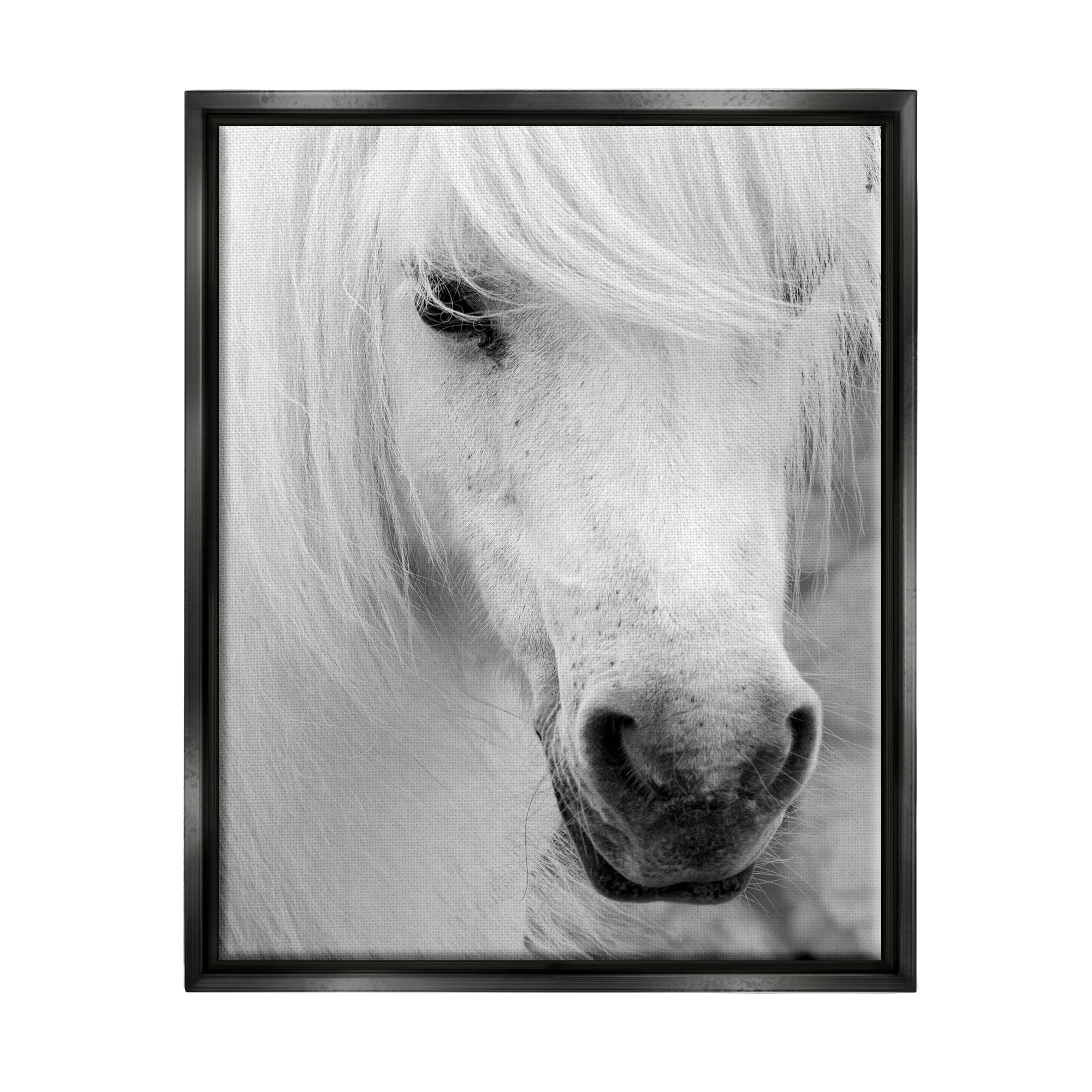 Stupell Industries White Horse Close Up Animals & Insects Photography Black Floater Framed Canvas Art Print Wall Art, 25 x 31