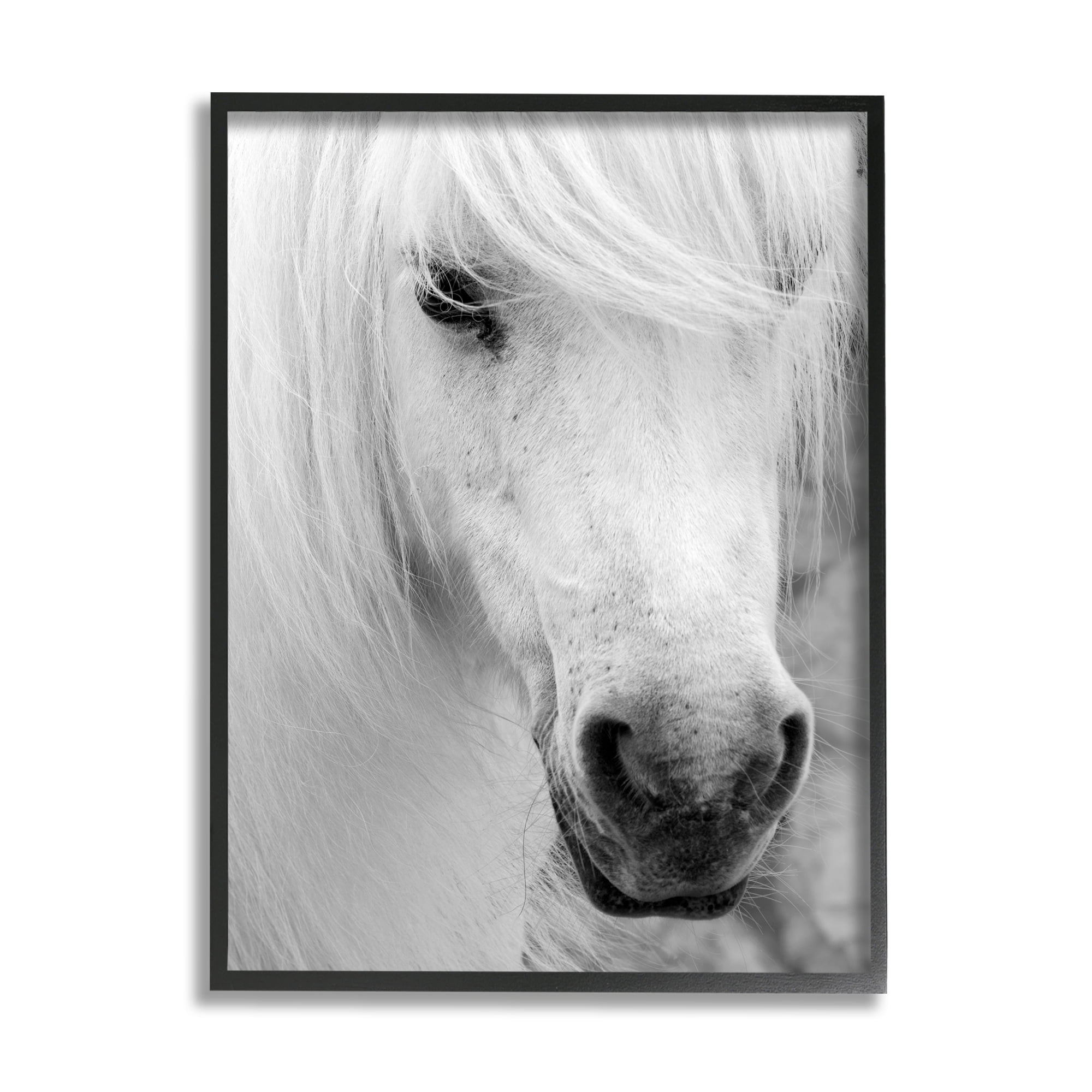 Stupell Industries White Horse Close Up Animals & Insects Photography Black Framed Art Print Wall Art, 16 x 20