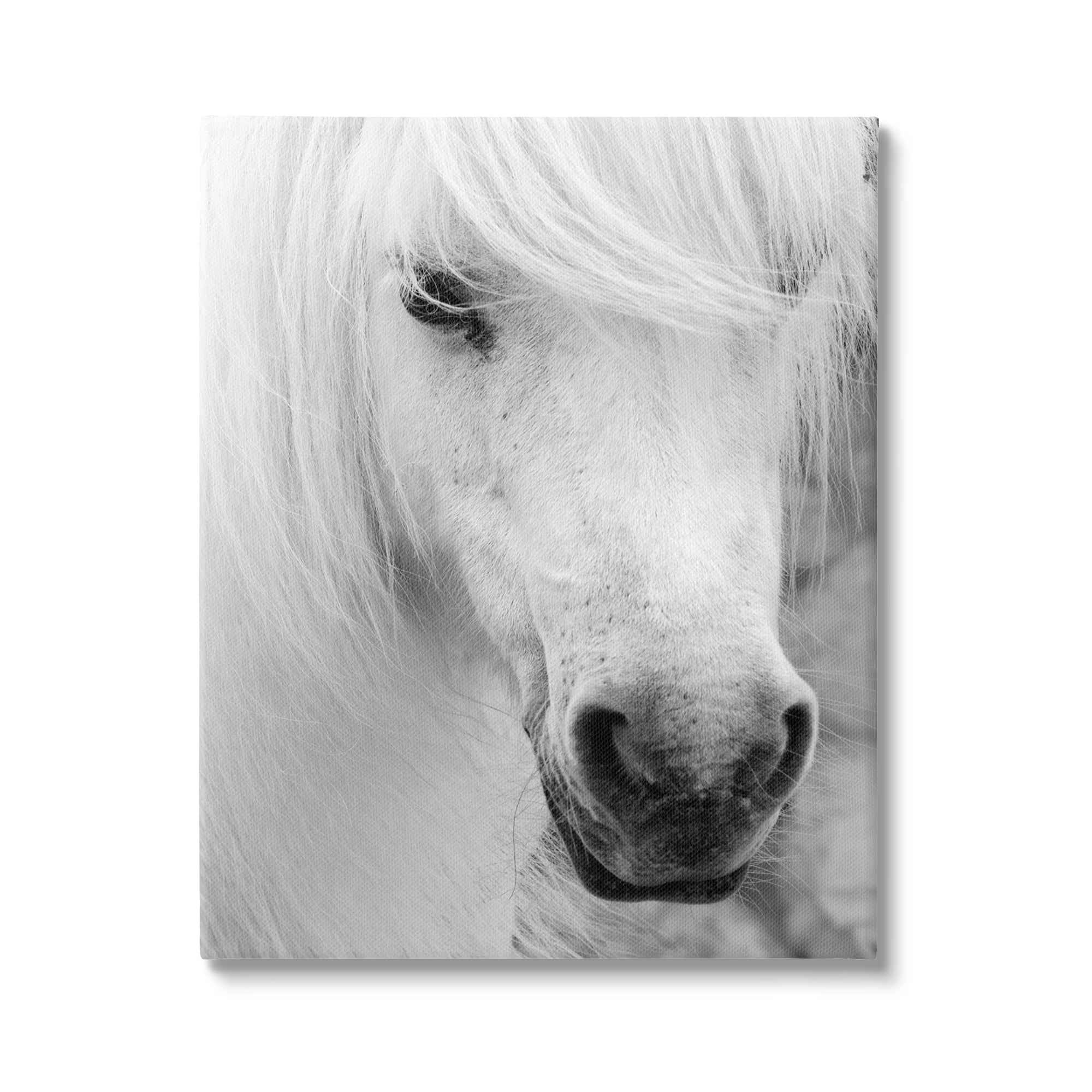 Stupell Industries White Horse Close Up Animals & Insects Photography Gallery Wrapped Canvas Art Print Wall Art, 16 x 20