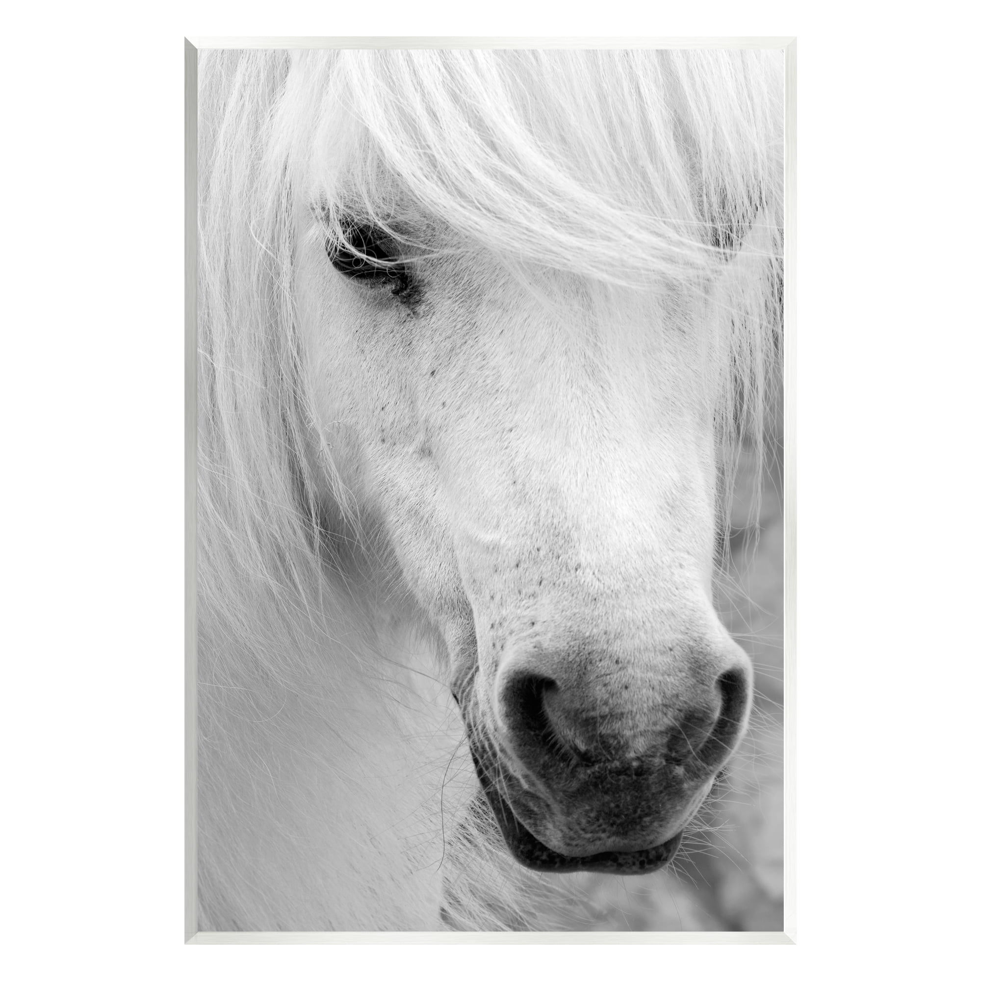 Stupell Industries White Horse Close Up Animals & Insects Photography Unframed Art Print Wall Art, 13 x 19