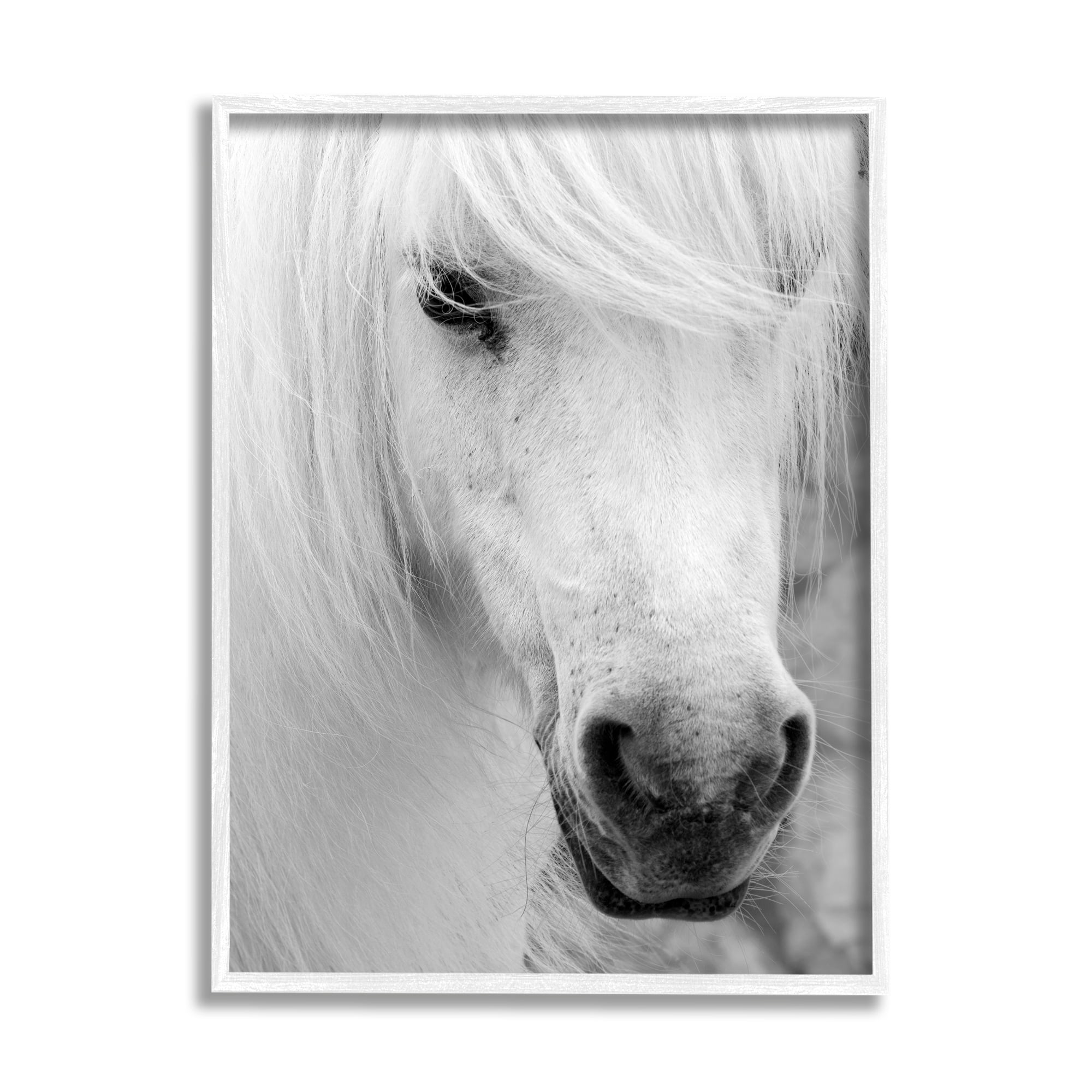 Stupell Industries White Horse Close Up Animals & Insects Photography White Framed Art Print Wall Art, 16 x 20