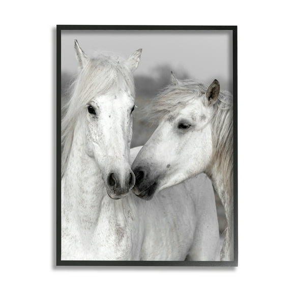 Stupell Industries White Horse Pair Animals & Insects Photography Black Framed Art Print Wall Art, 11 x 14