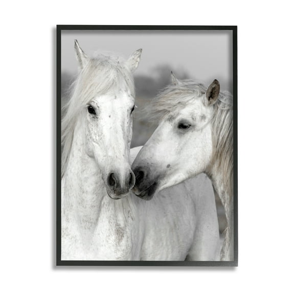 Stupell Industries White Horse Pair Animals & Insects Photography Black Framed Art Print Wall Art, 16 x 20