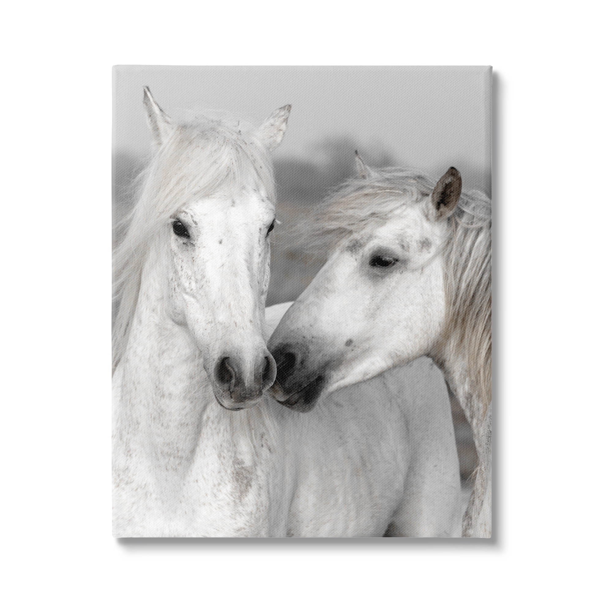 Stupell Industries White Horse Pair Animals & Insects Photography Gallery Wrapped Canvas Art Print Wall Art, 24 x 30