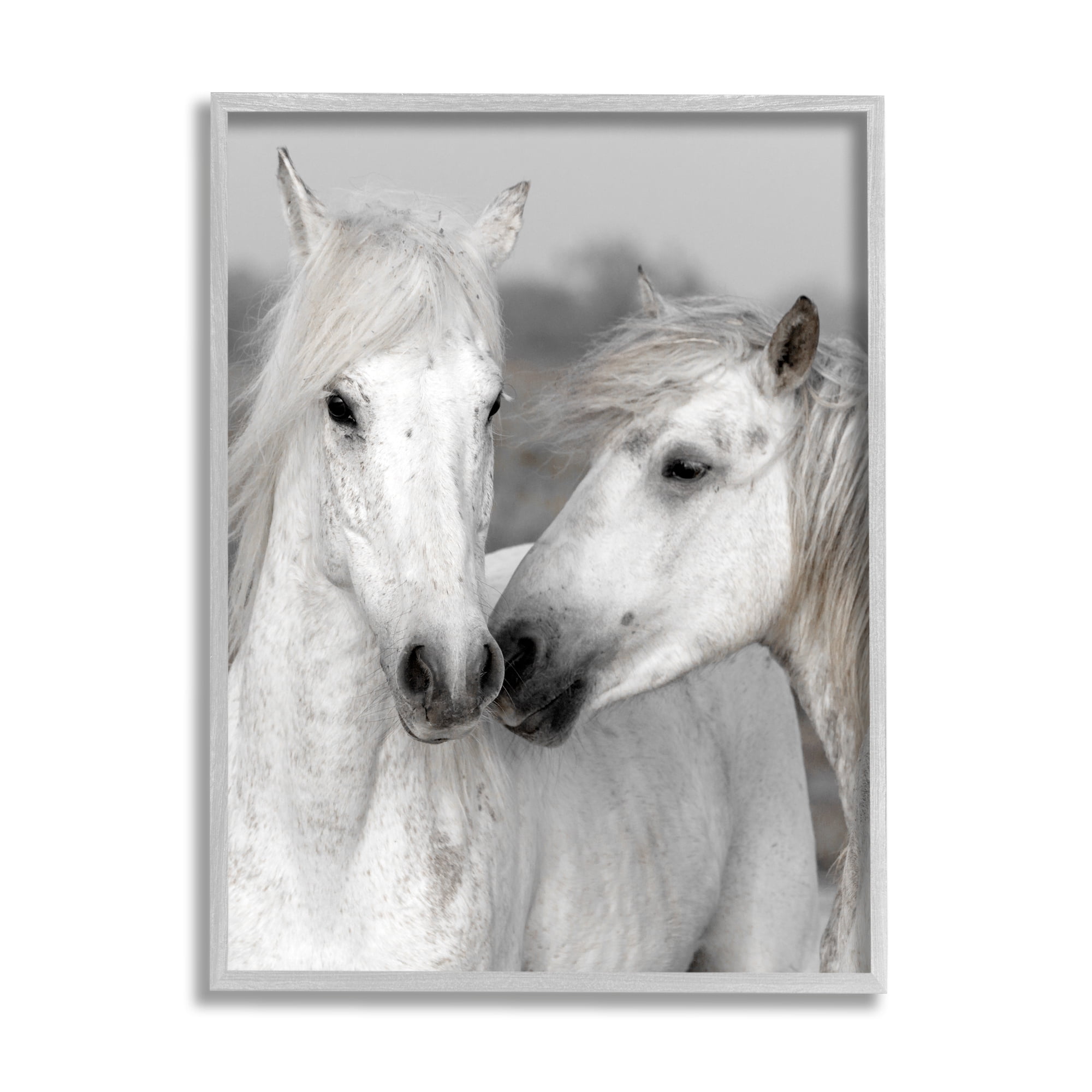 Stupell Industries White Horse Pair Animals & Insects Photography Gray Framed Art Print Wall Art, 11 x 14