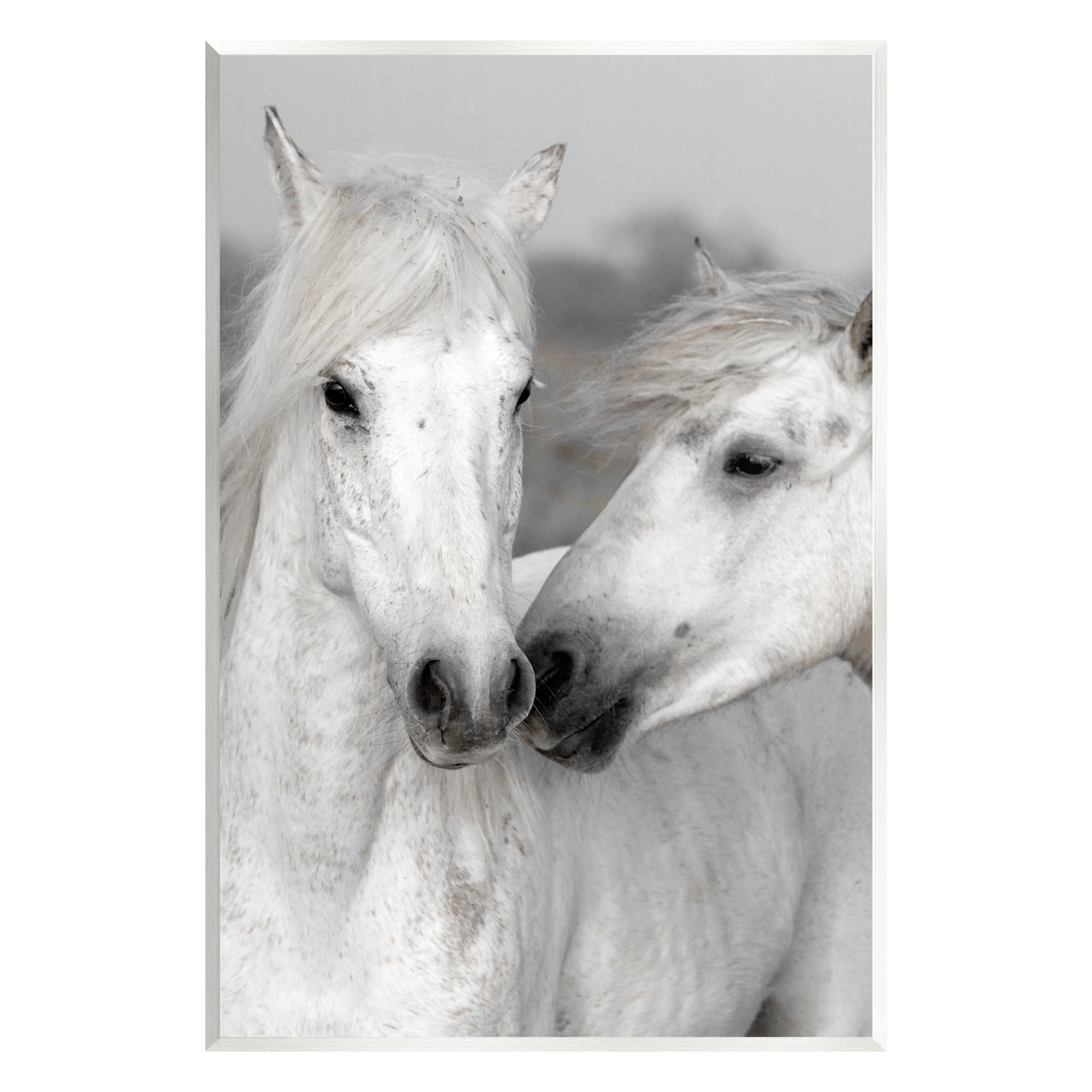 Stupell Industries White Horse Pair Animals & Insects Photography Unframed Art Print Wall Art, 13 x 19